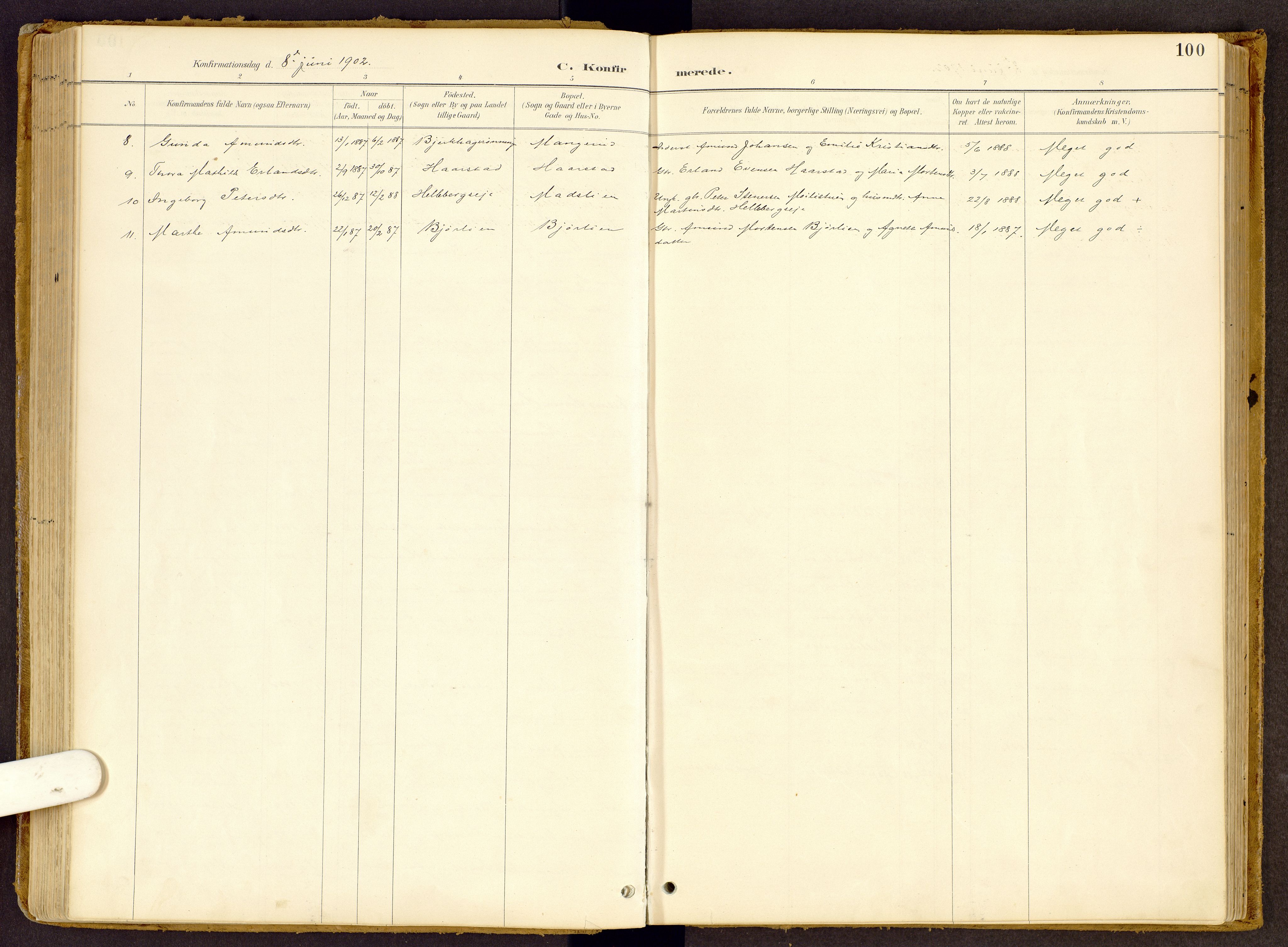 Vestre Gausdal prestekontor, SAH/PREST-094/H/Ha/Haa/L0002: Parish register (official) no. 2, 1887-1918, p. 100