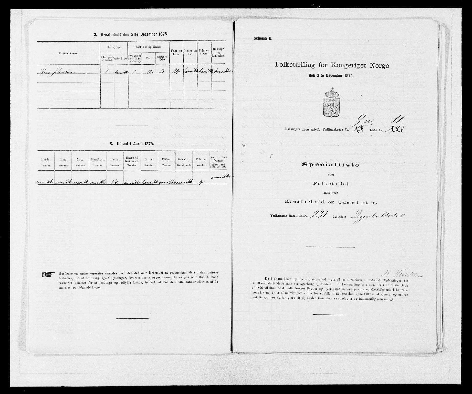 SAB, 1875 census for 1253P Hosanger, 1875, p. 677