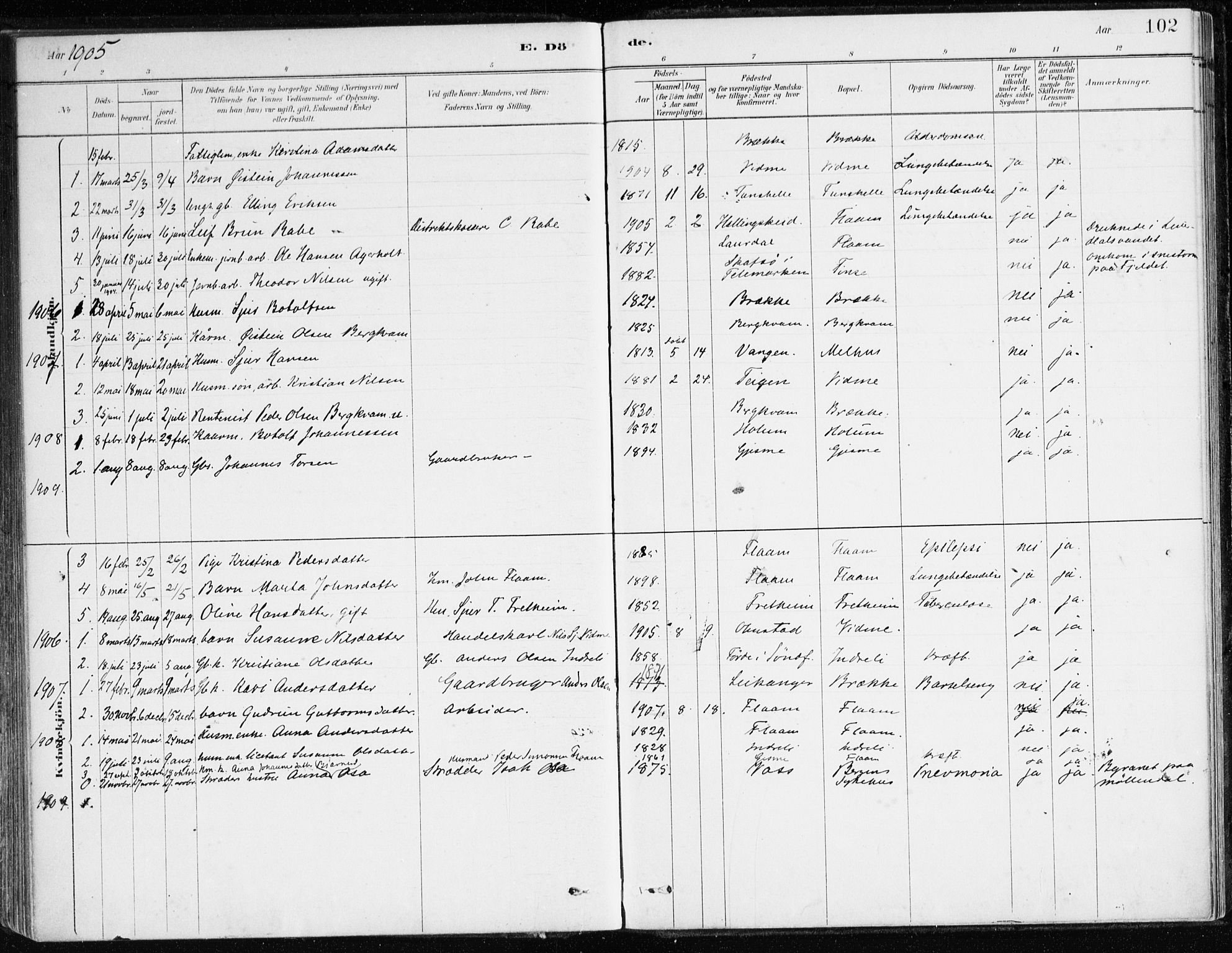 Aurland sokneprestembete, SAB/A-99937/H/Ha/Hac/L0001: Parish register (official) no. C 1, 1880-1921, p. 102