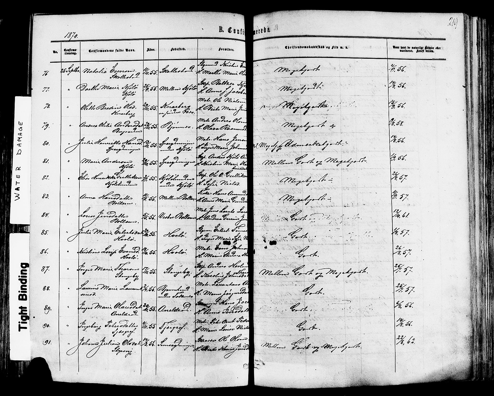 Nøtterøy kirkebøker, SAKO/A-354/F/Fa/L0007: Parish register (official) no. I 7, 1865-1877, p. 219