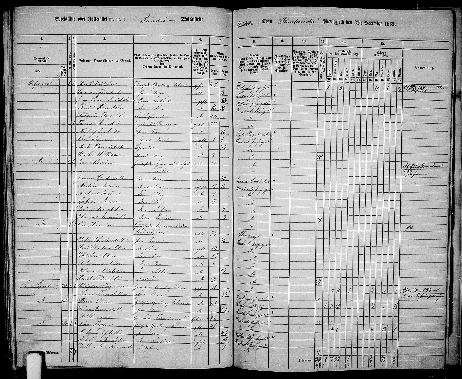 RA, 1865 census for Håland, 1865, p. 110