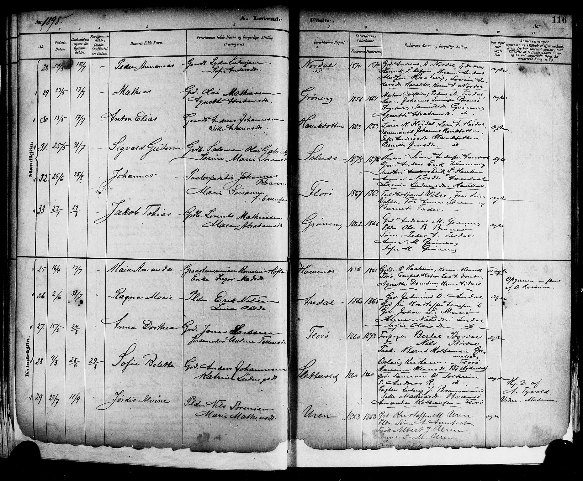 Kinn sokneprestembete, AV/SAB-A-80801/H/Hab/Haba/L0002: Parish register (copy) no. A 2, 1882-1906, p. 116