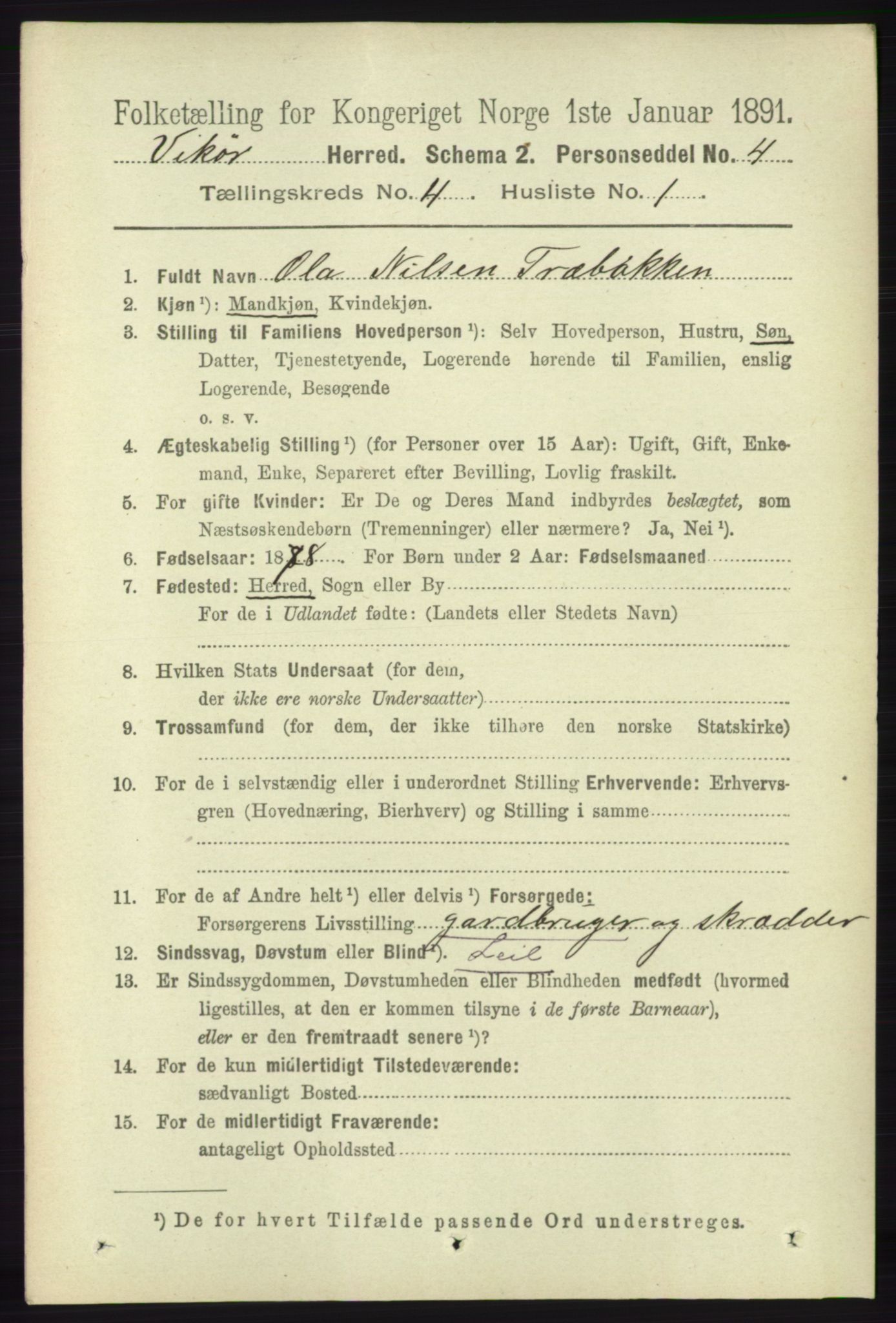 RA, 1891 census for 1238 Vikør, 1891, p. 1088