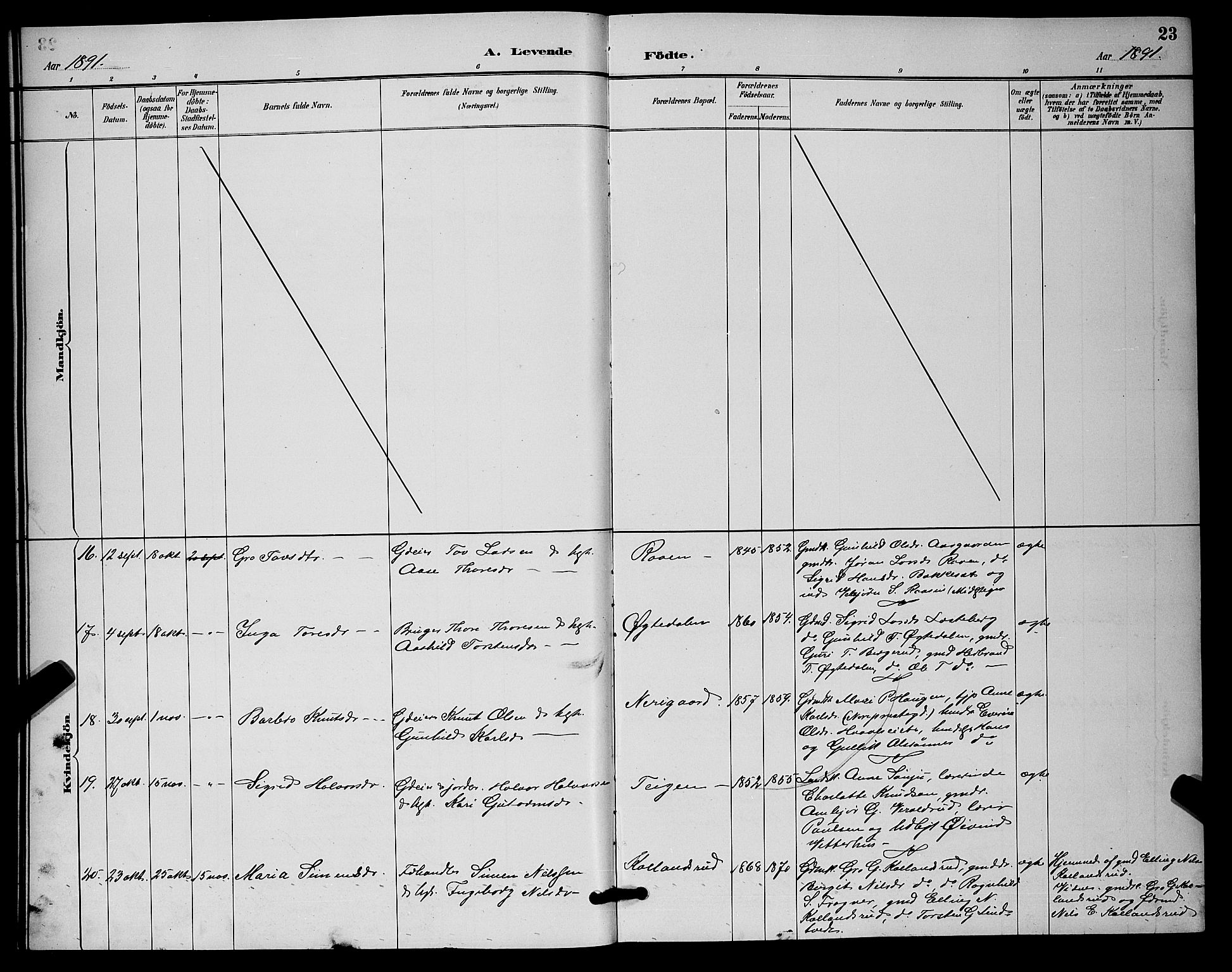 Nore kirkebøker, AV/SAKO-A-238/G/Ga/L0003: Parish register (copy) no. I 3, 1886-1903, p. 23