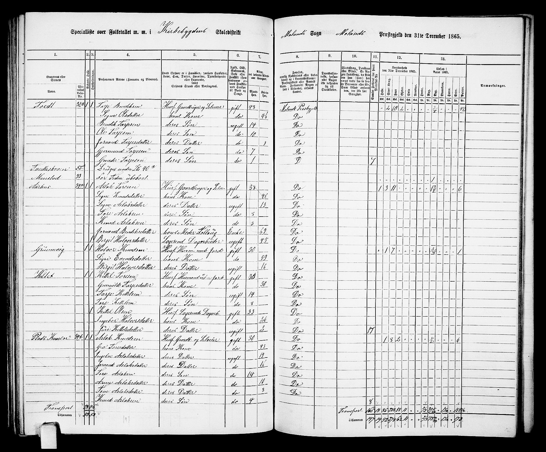 RA, 1865 census for Moland, 1865, p. 53