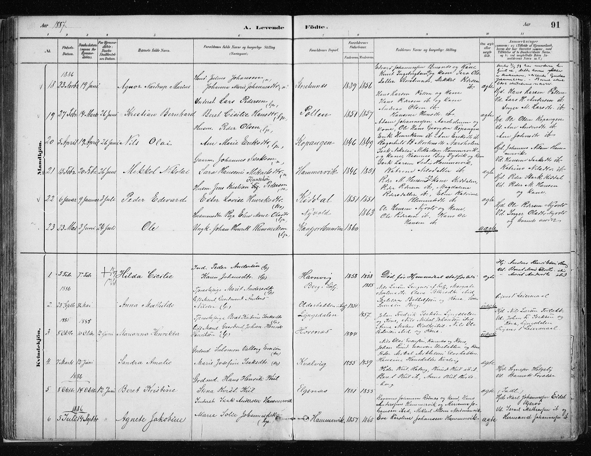 Lyngen sokneprestembete, SATØ/S-1289/H/He/Hea/L0007kirke: Parish register (official) no. 7, 1879-1890, p. 91