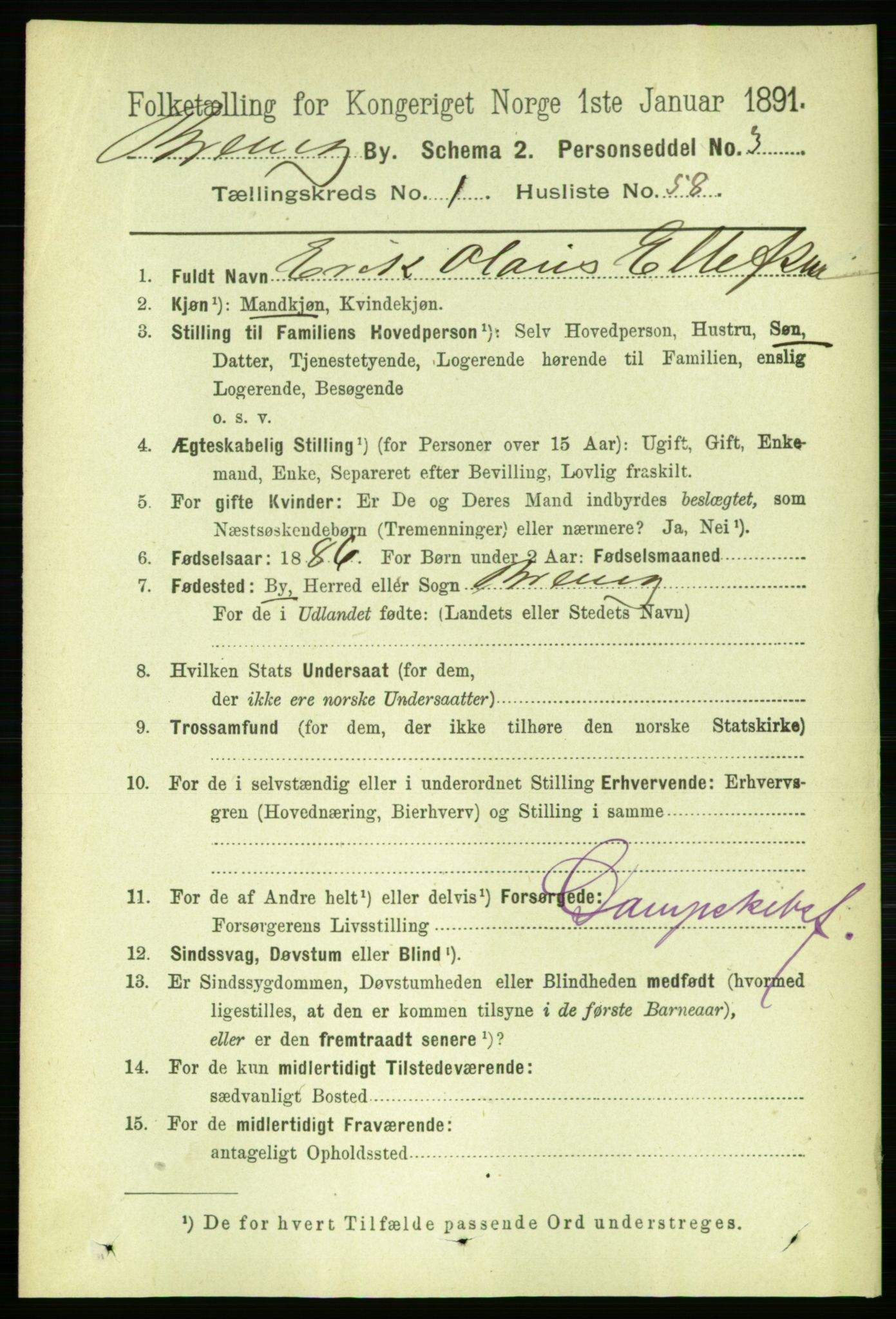 RA, 1891 census for 0804 Brevik, 1891, p. 1187