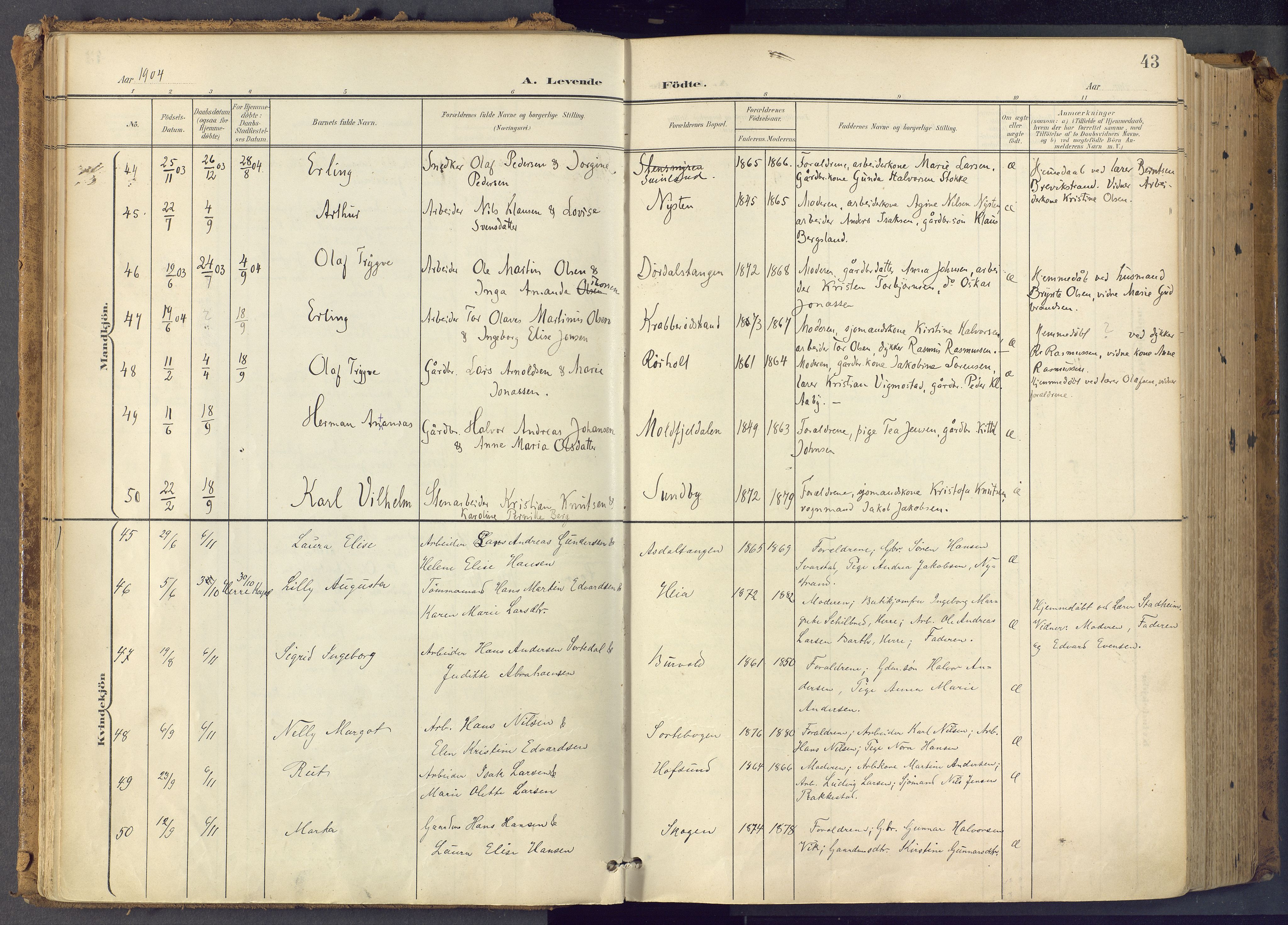 Bamble kirkebøker, SAKO/A-253/F/Fa/L0009: Parish register (official) no. I 9, 1901-1917, p. 43