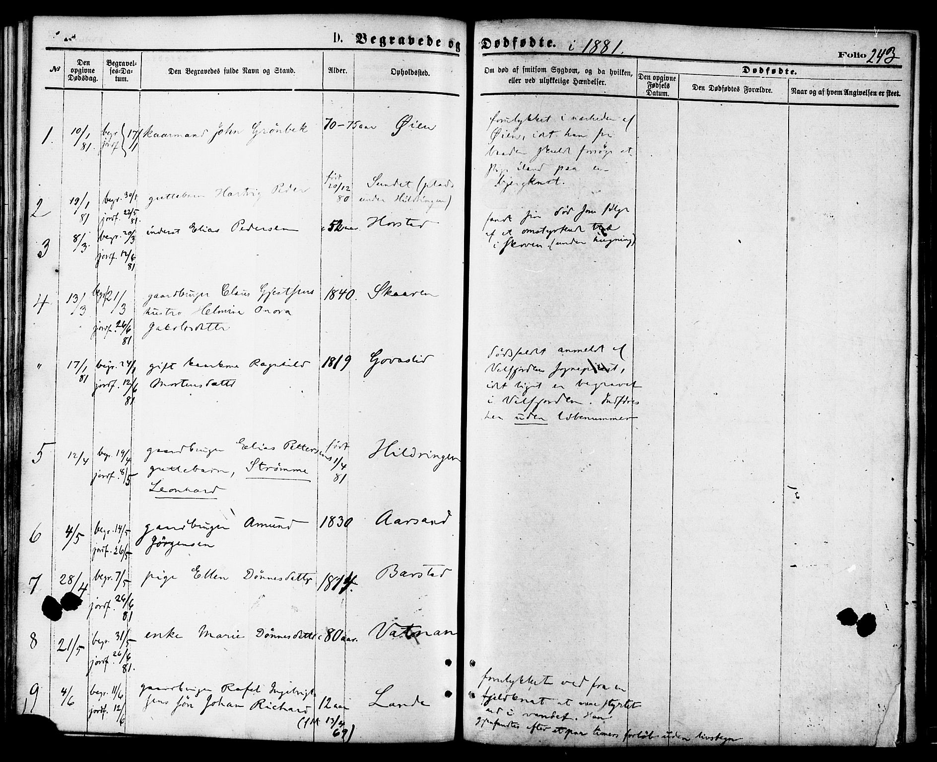 Ministerialprotokoller, klokkerbøker og fødselsregistre - Nordland, AV/SAT-A-1459/810/L0148: Parish register (official) no. 810A09 /1, 1874-1884, p. 243