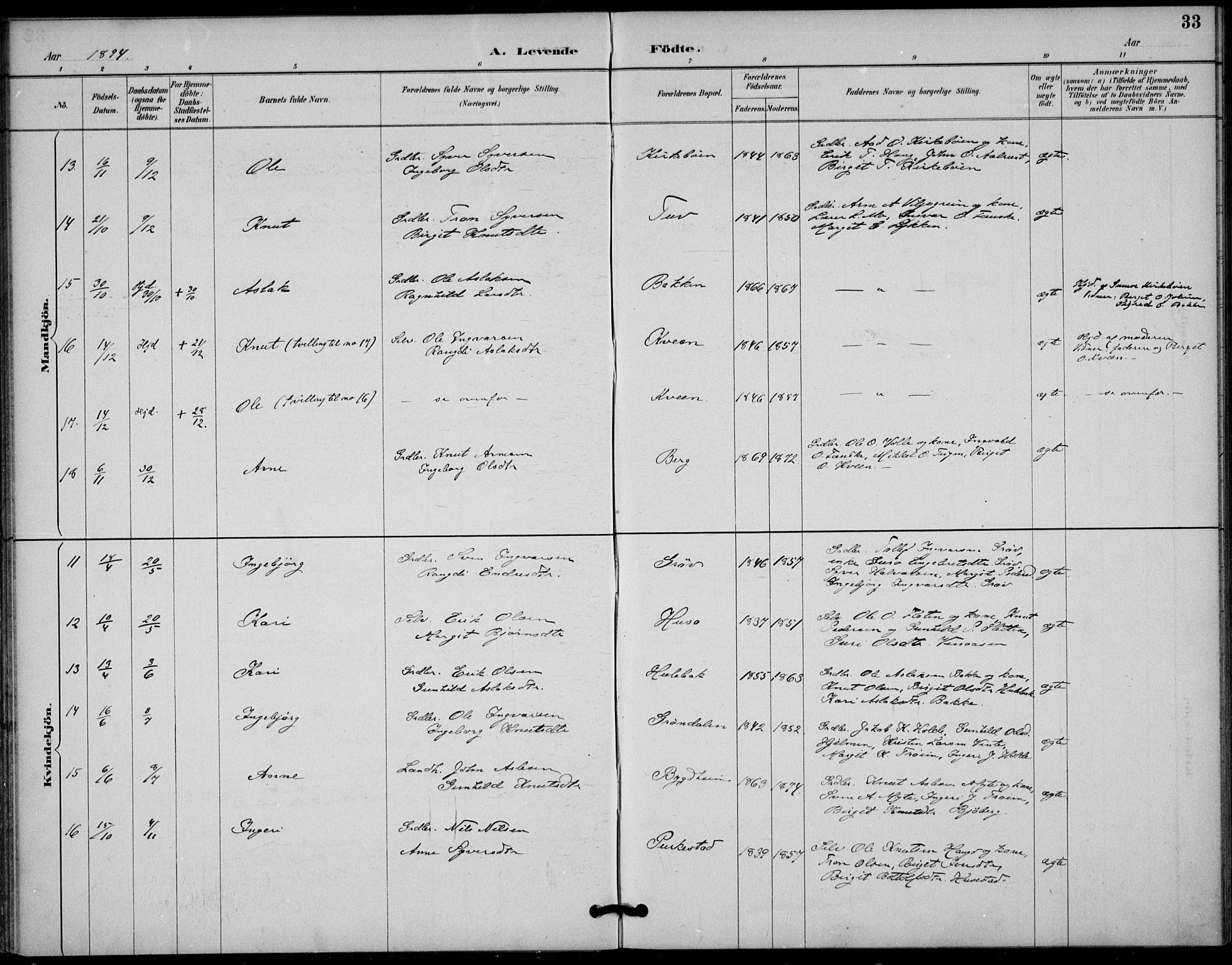 Gol kirkebøker, AV/SAKO-A-226/F/Fb/L0001: Parish register (official) no. II 1, 1887-1900, p. 33