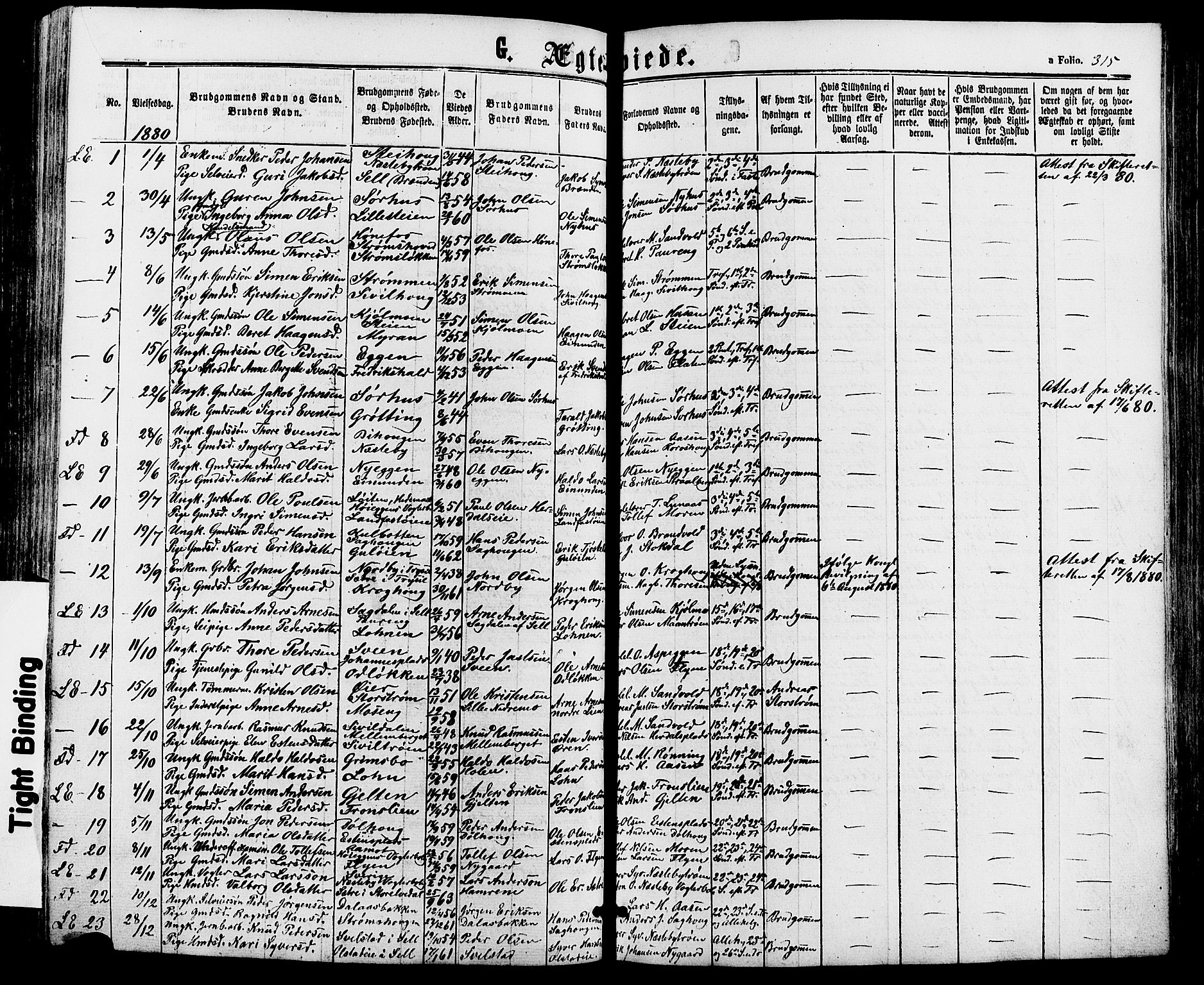 Alvdal prestekontor, SAH/PREST-060/H/Ha/Haa/L0001: Parish register (official) no. 1, 1863-1882, p. 315