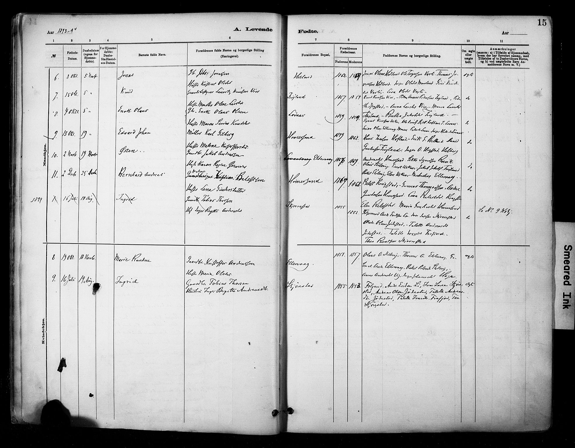 Hetland sokneprestkontor, AV/SAST-A-101826/30/30BA/L0010: Parish register (official) no. A 10, 1882-1925, p. 15