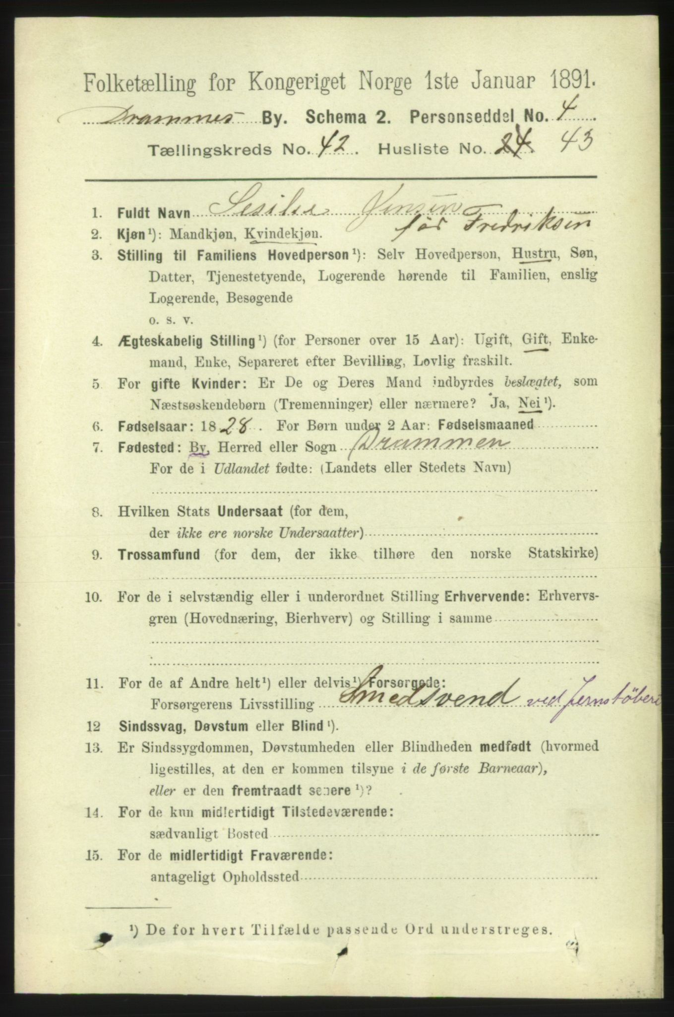 RA, 1891 census for 0602 Drammen, 1891, p. 25036