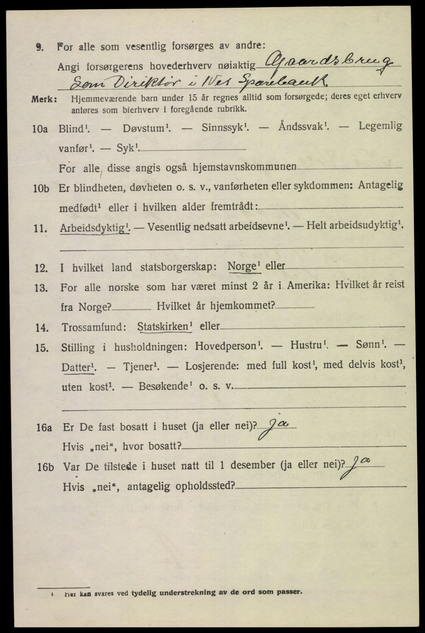 SAK, 1920 census for Nes (V-A), 1920, p. 3965