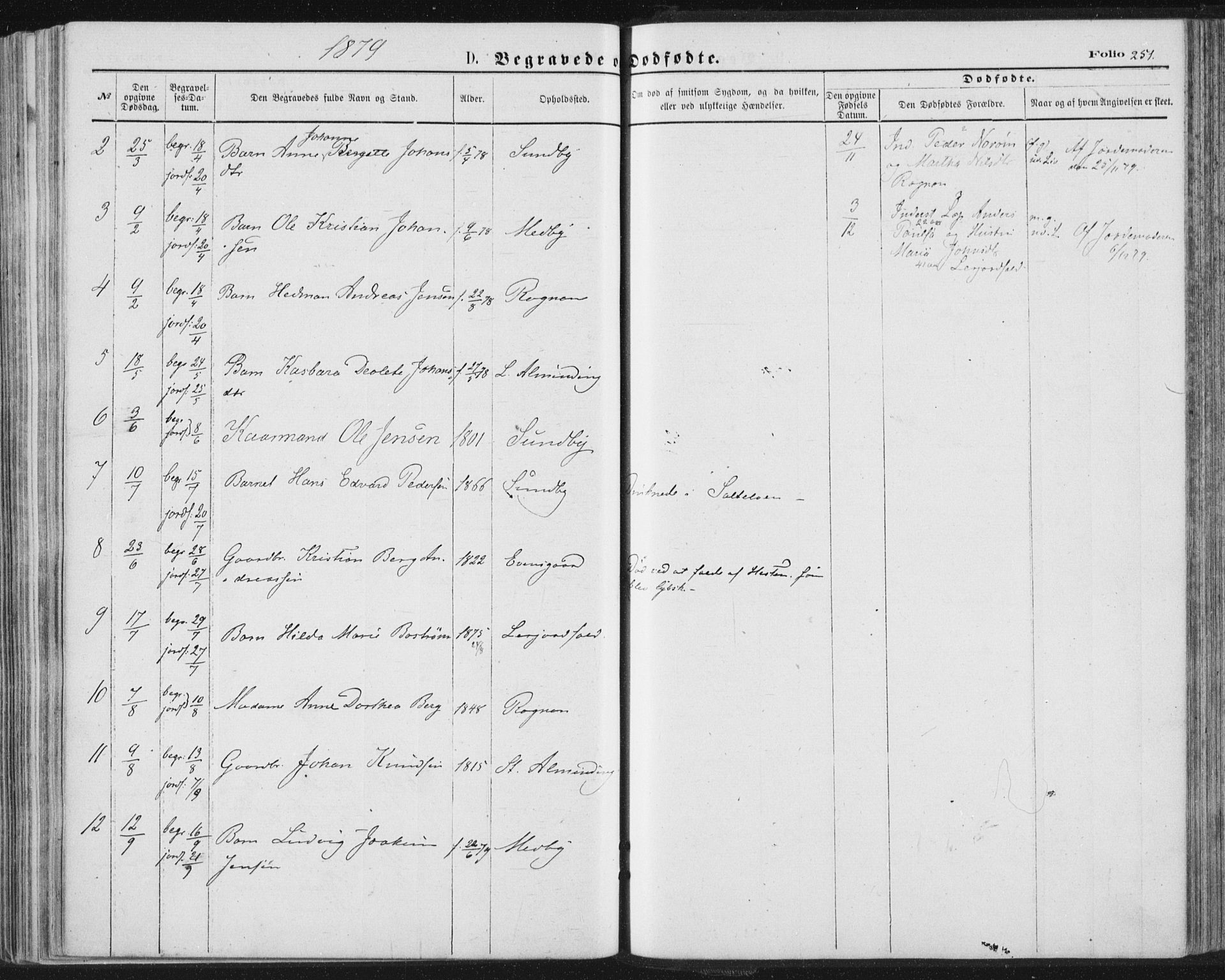 Ministerialprotokoller, klokkerbøker og fødselsregistre - Nordland, SAT/A-1459/847/L0668: Parish register (official) no. 847A08, 1872-1886, p. 251