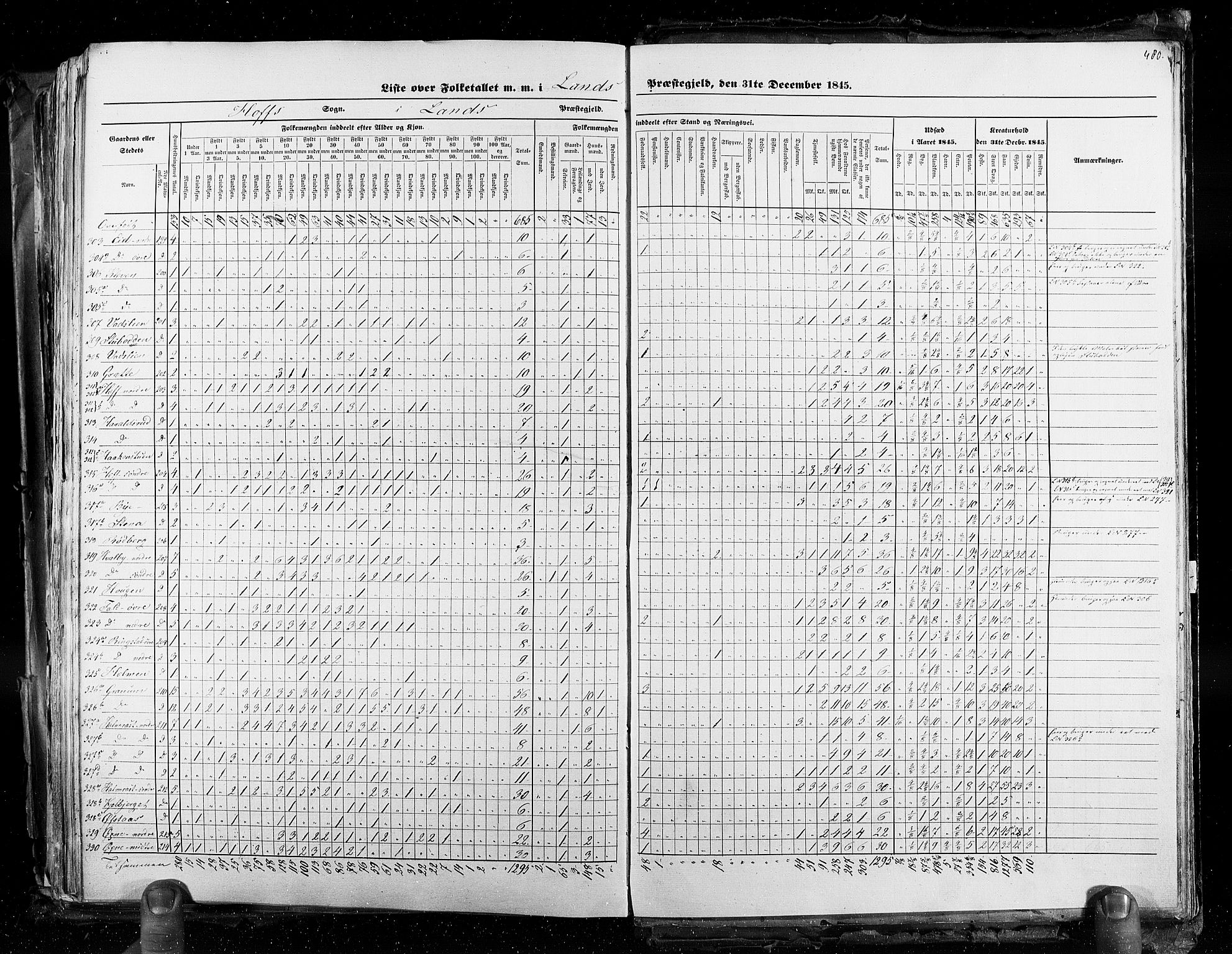 RA, Census 1845, vol. 3: Hedemarken amt og Kristians amt, 1845, p. 480