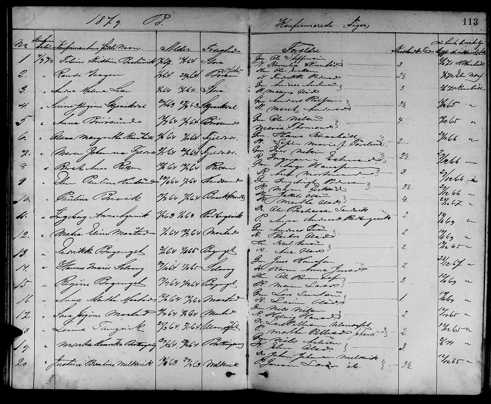 Ministerialprotokoller, klokkerbøker og fødselsregistre - Sør-Trøndelag, SAT/A-1456/637/L0561: Parish register (copy) no. 637C02, 1873-1882, p. 113