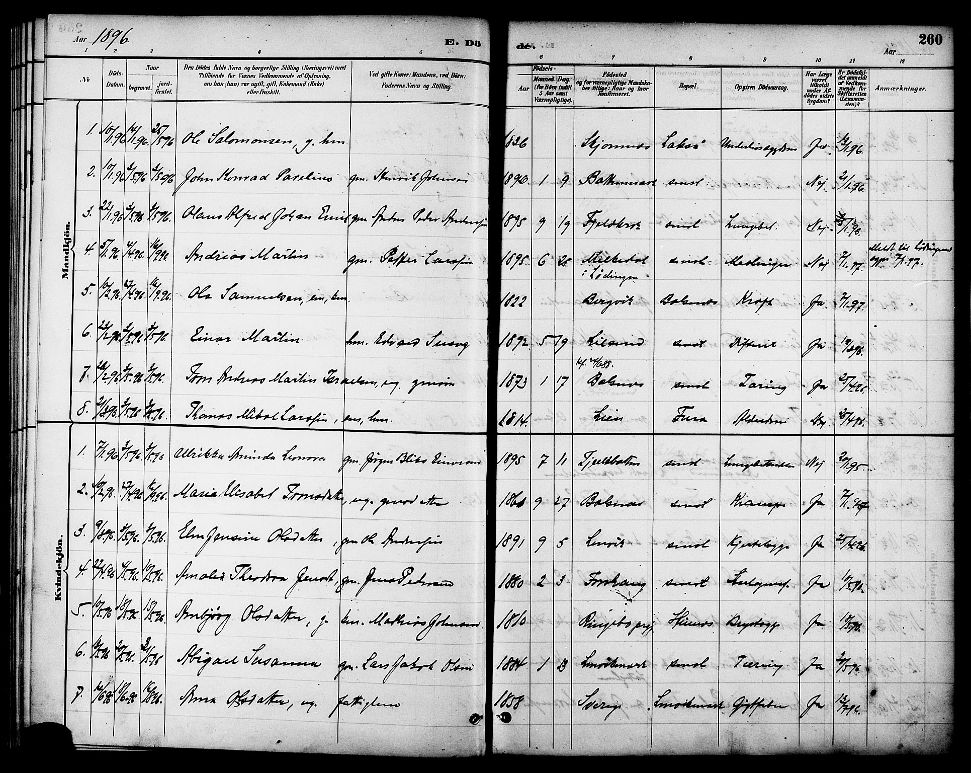 Ministerialprotokoller, klokkerbøker og fødselsregistre - Nordland, SAT/A-1459/863/L0898: Parish register (official) no. 863A10, 1886-1897, p. 260