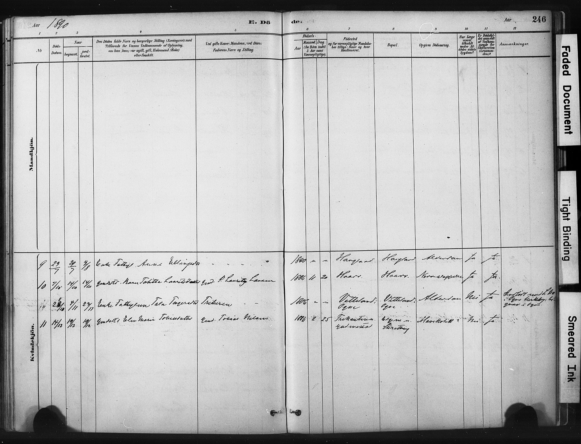 Hå sokneprestkontor, AV/SAST-A-101801/001/30BA/L0011: Parish register (official) no. A 10, 1879-1900, p. 246