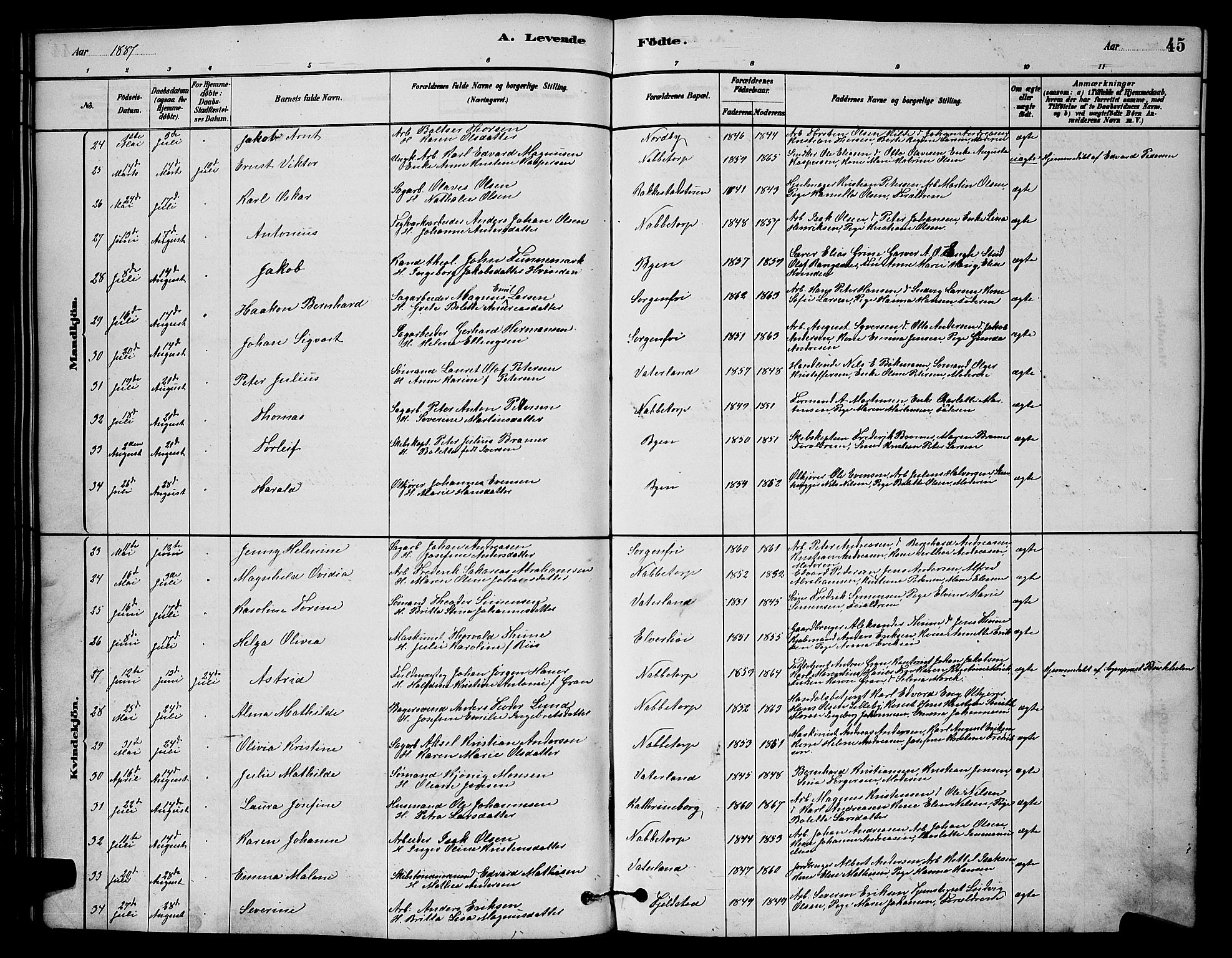 Østre Fredrikstad prestekontor Kirkebøker, SAO/A-10907/G/Ga/L0001: Parish register (copy) no. 1, 1880-1899, p. 45