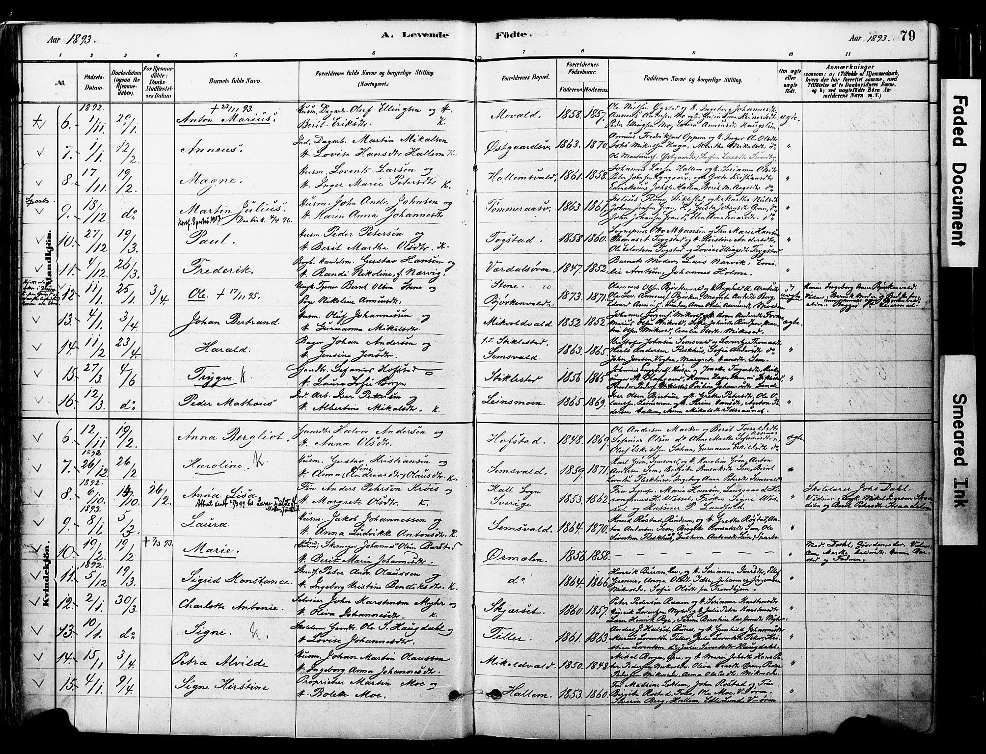 Ministerialprotokoller, klokkerbøker og fødselsregistre - Nord-Trøndelag, SAT/A-1458/723/L0244: Parish register (official) no. 723A13, 1881-1899, p. 79