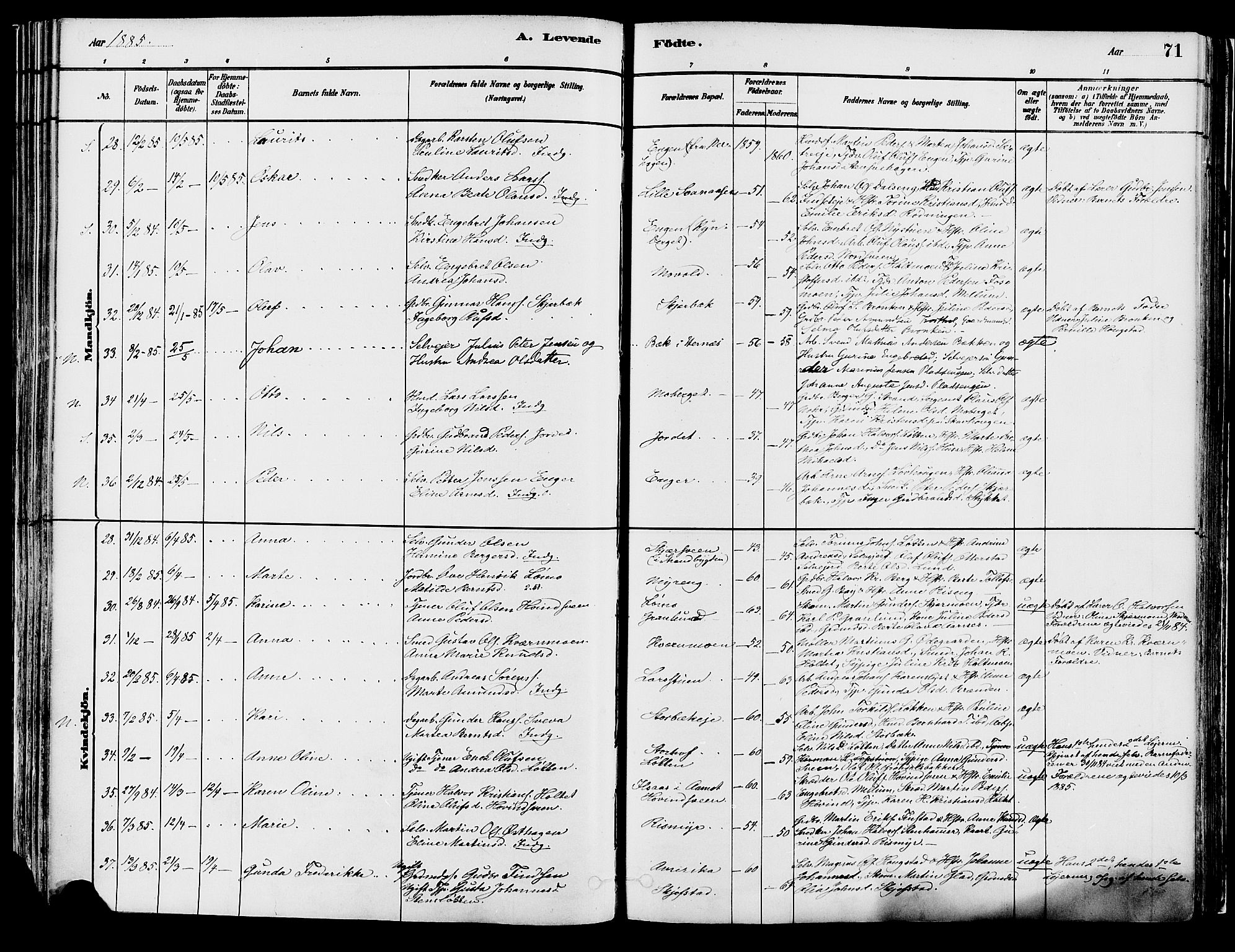 Elverum prestekontor, AV/SAH-PREST-044/H/Ha/Haa/L0013: Parish register (official) no. 13, 1880-1890, p. 71