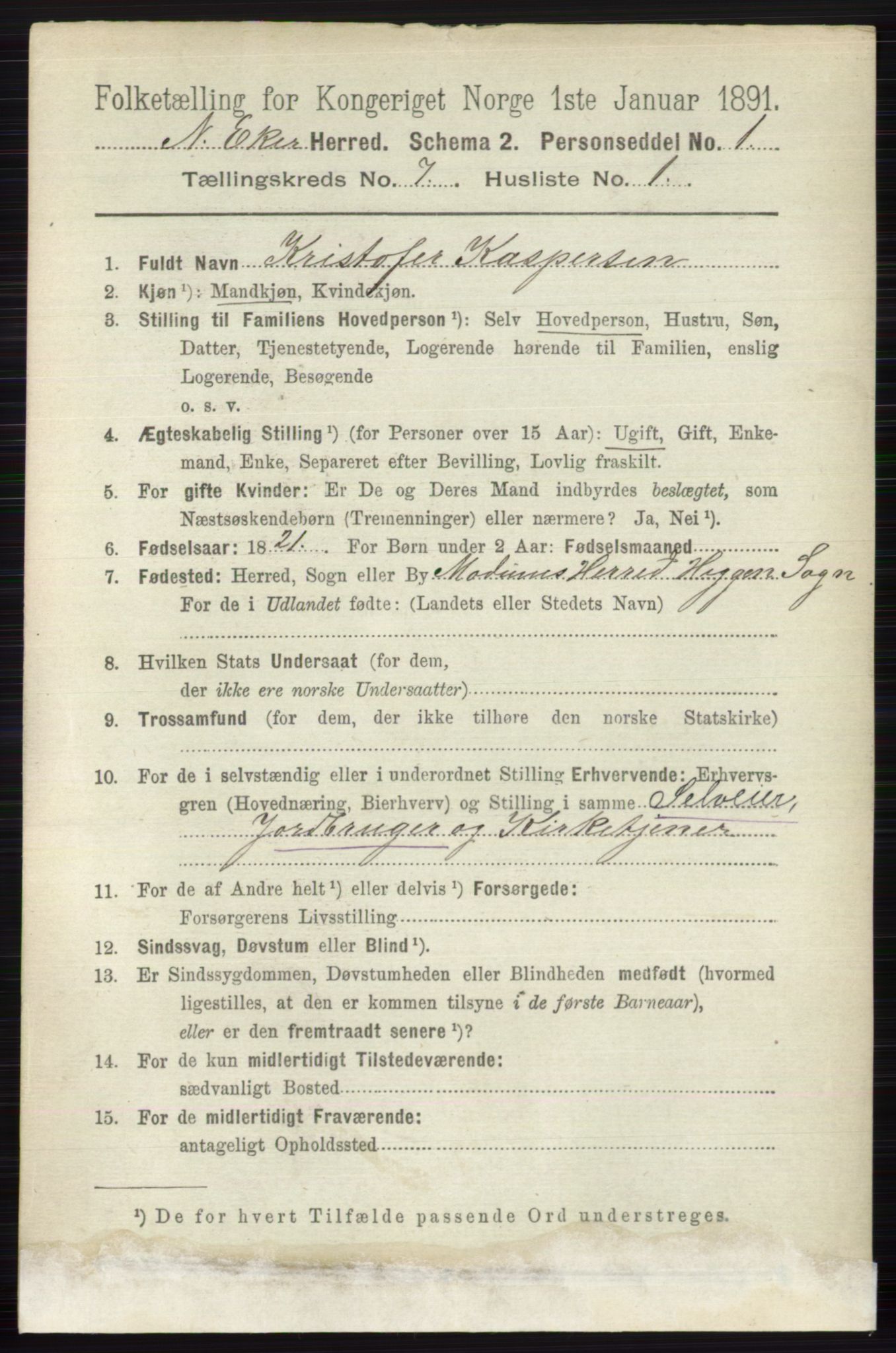 RA, 1891 census for 0625 Nedre Eiker, 1891, p. 3405