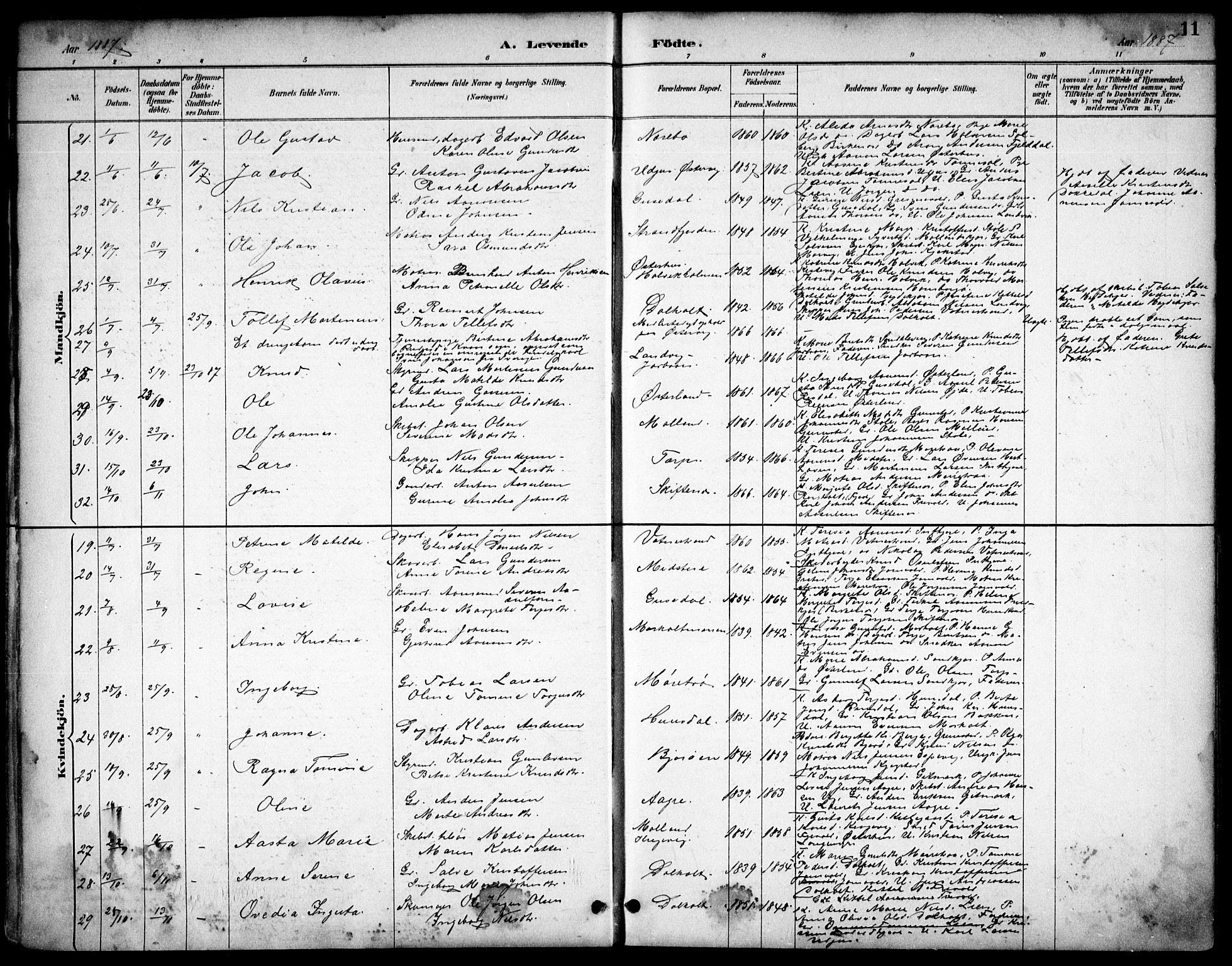 Hommedal sokneprestkontor, AV/SAK-1111-0023/F/Fb/Fbb/L0007: Parish register (copy) no. B 7, 1885-1904, p. 11