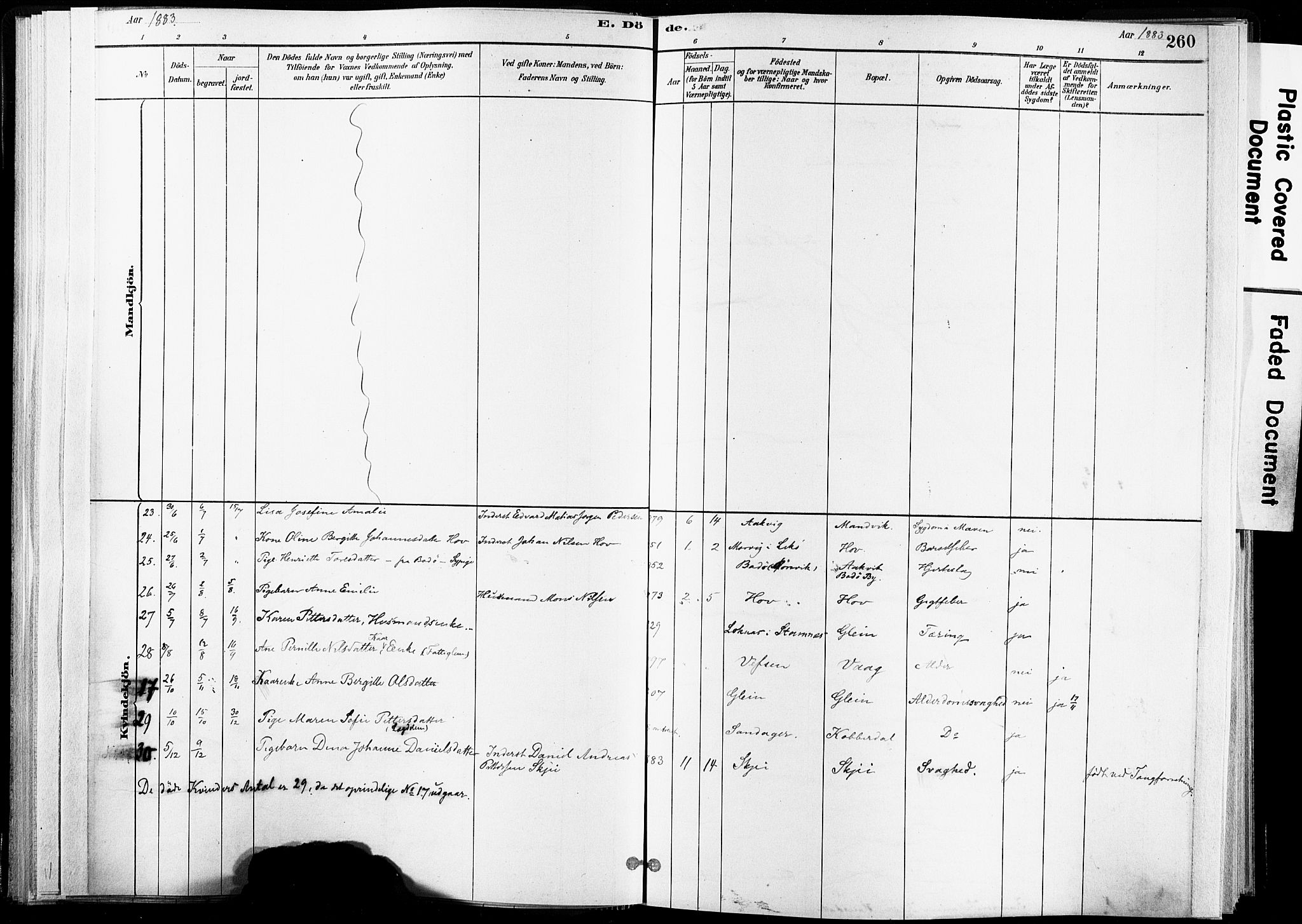 Ministerialprotokoller, klokkerbøker og fødselsregistre - Nordland, AV/SAT-A-1459/835/L0526: Parish register (official) no. 835A03II, 1881-1910, p. 260