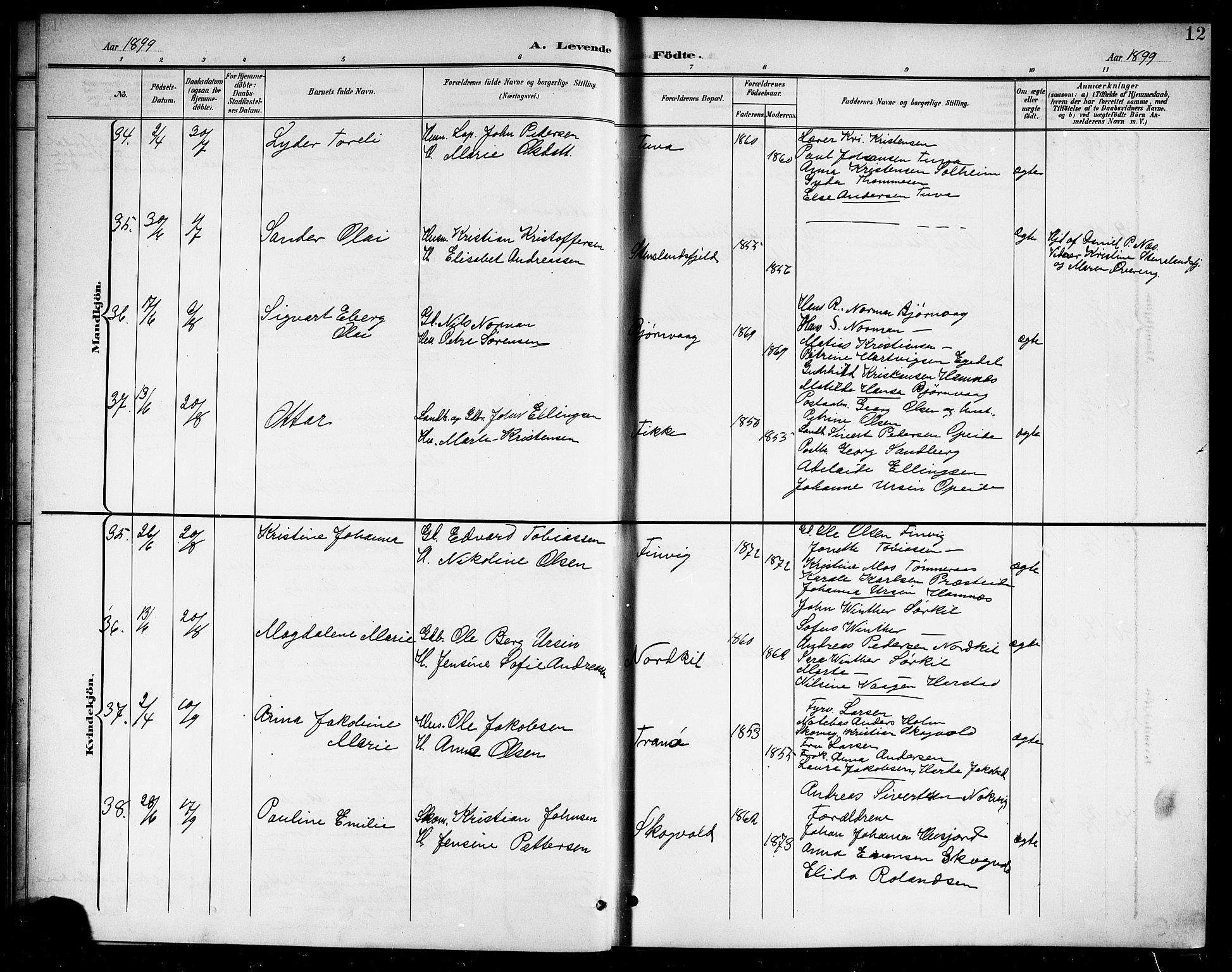 Ministerialprotokoller, klokkerbøker og fødselsregistre - Nordland, AV/SAT-A-1459/859/L0860: Parish register (copy) no. 859C06, 1899-1909, p. 12