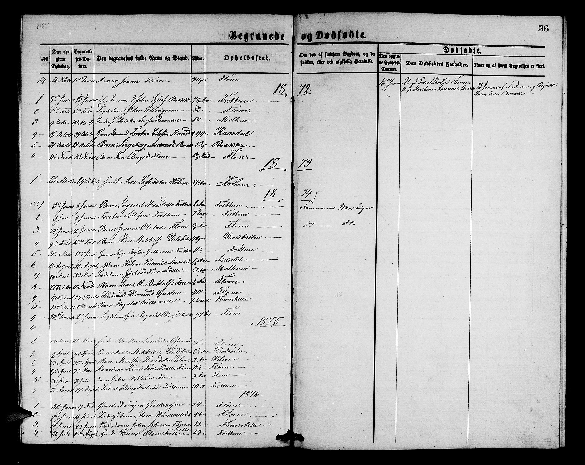 Aurland sokneprestembete, SAB/A-99937/H/Hb/Hbb/L0001: Parish register (copy) no. B 1, 1868-1887, p. 36