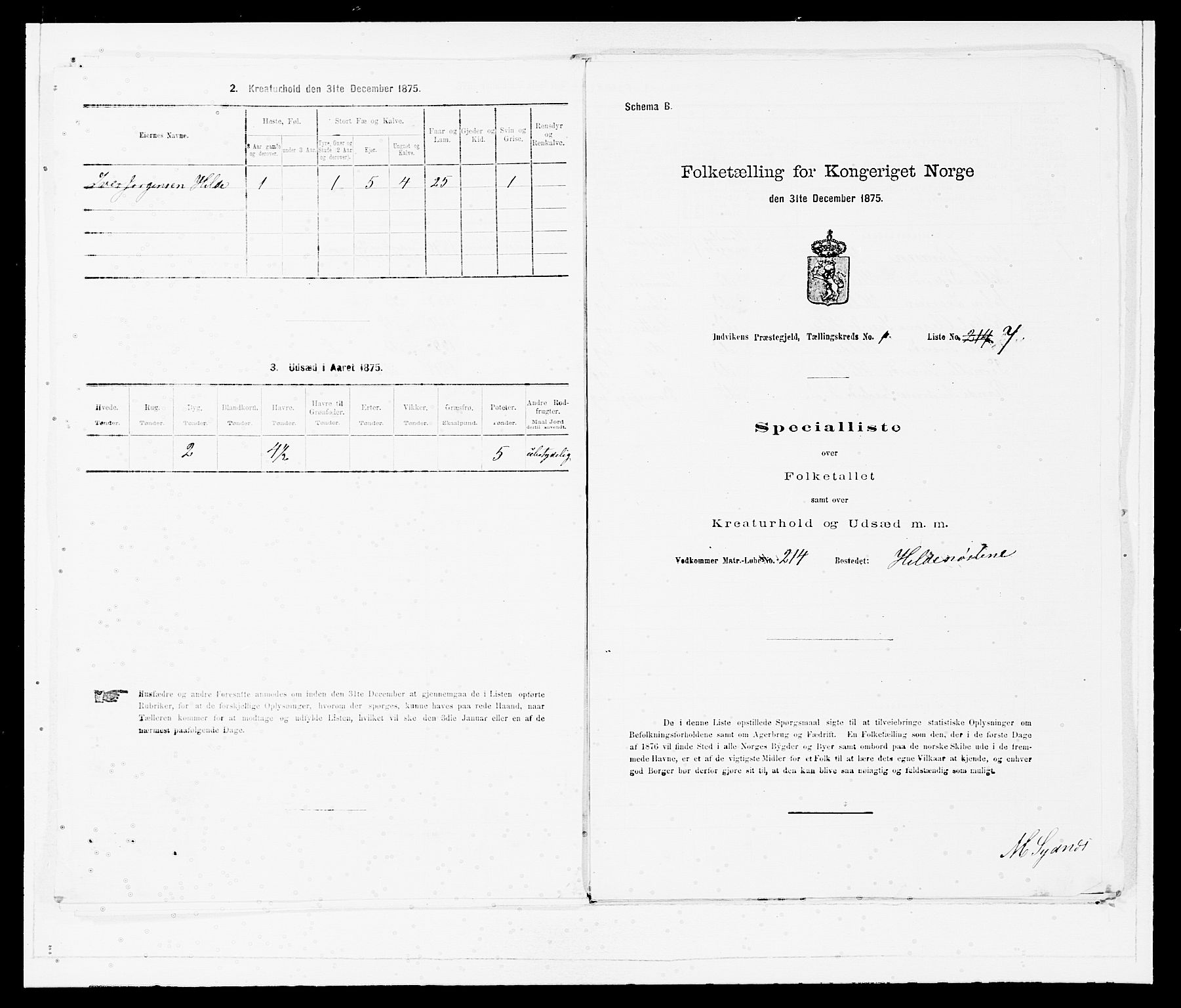 SAB, 1875 Census for 1447P Innvik, 1875, p. 35