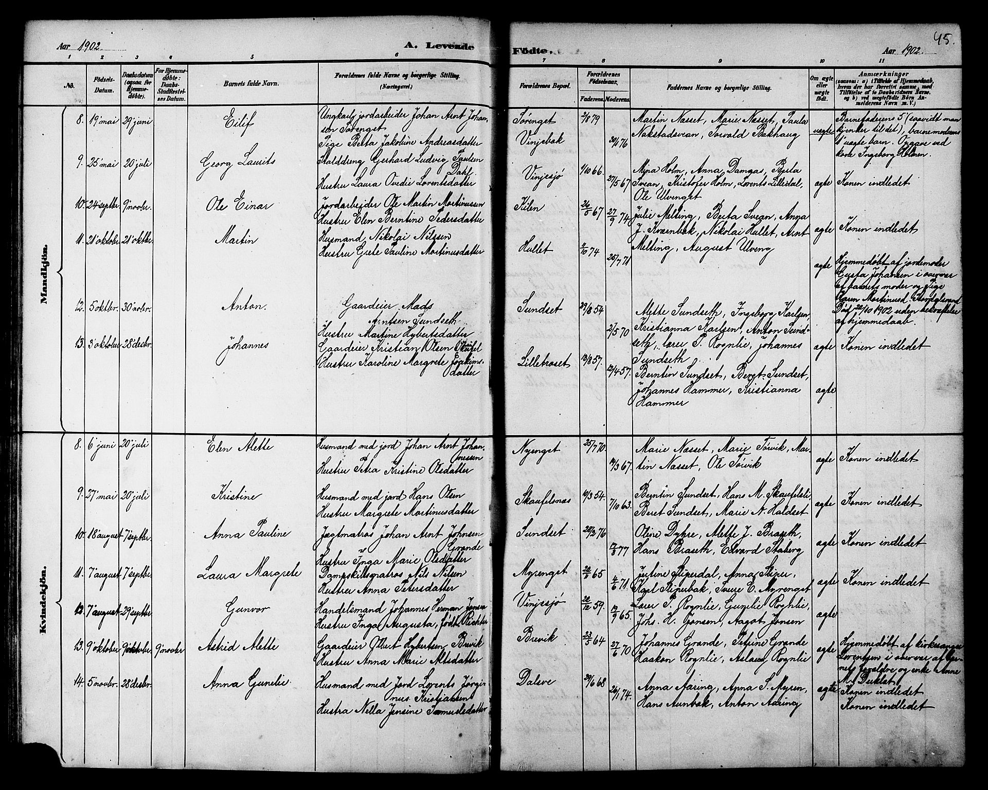 Ministerialprotokoller, klokkerbøker og fødselsregistre - Nord-Trøndelag, SAT/A-1458/733/L0327: Parish register (copy) no. 733C02, 1888-1918, p. 45