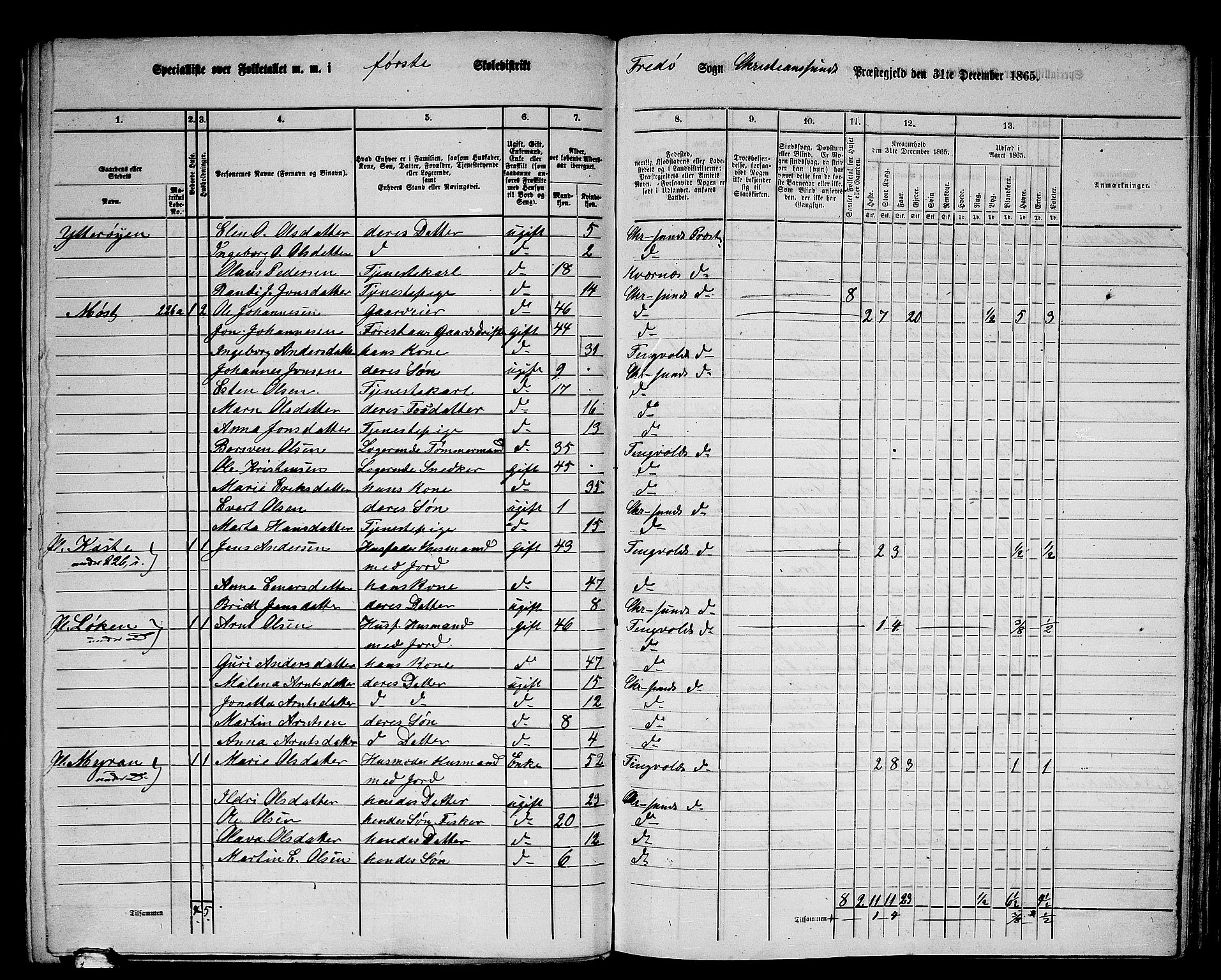 RA, 1865 census for Kristiansund/Frei og Grip, 1865, p. 5