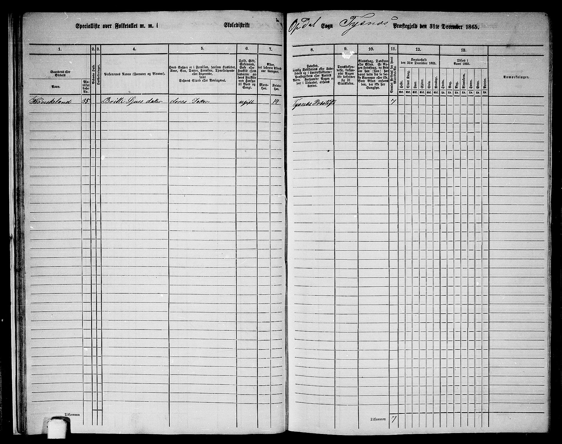 RA, 1865 census for Tysnes, 1865, p. 29