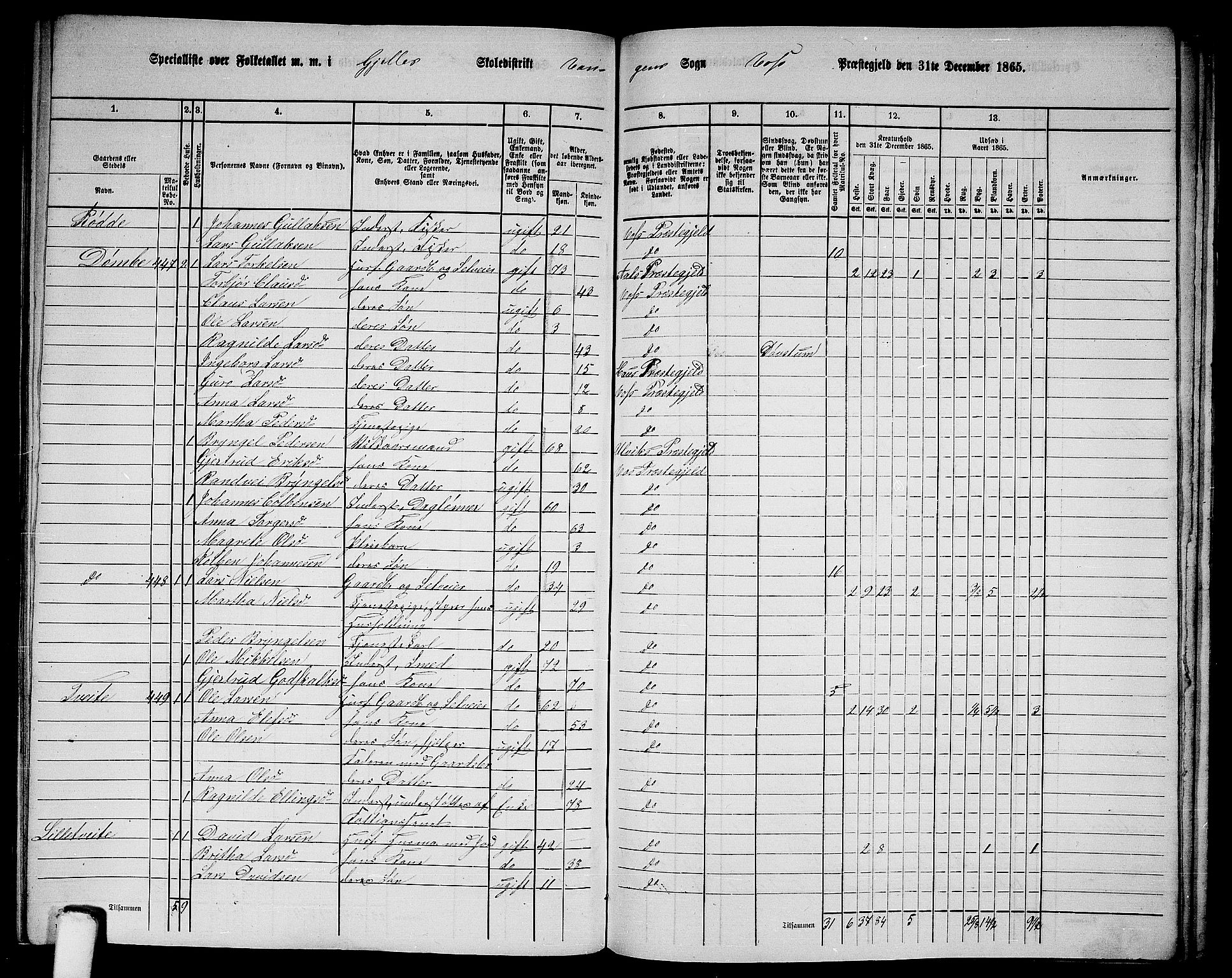 RA, 1865 census for Voss, 1865, p. 197