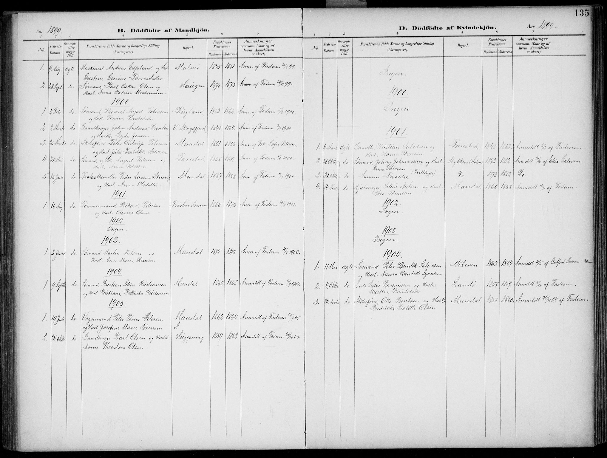 Mandal sokneprestkontor, AV/SAK-1111-0030/F/Fb/Fba/L0012: Parish register (copy) no. B 6, 1899-1918, p. 135