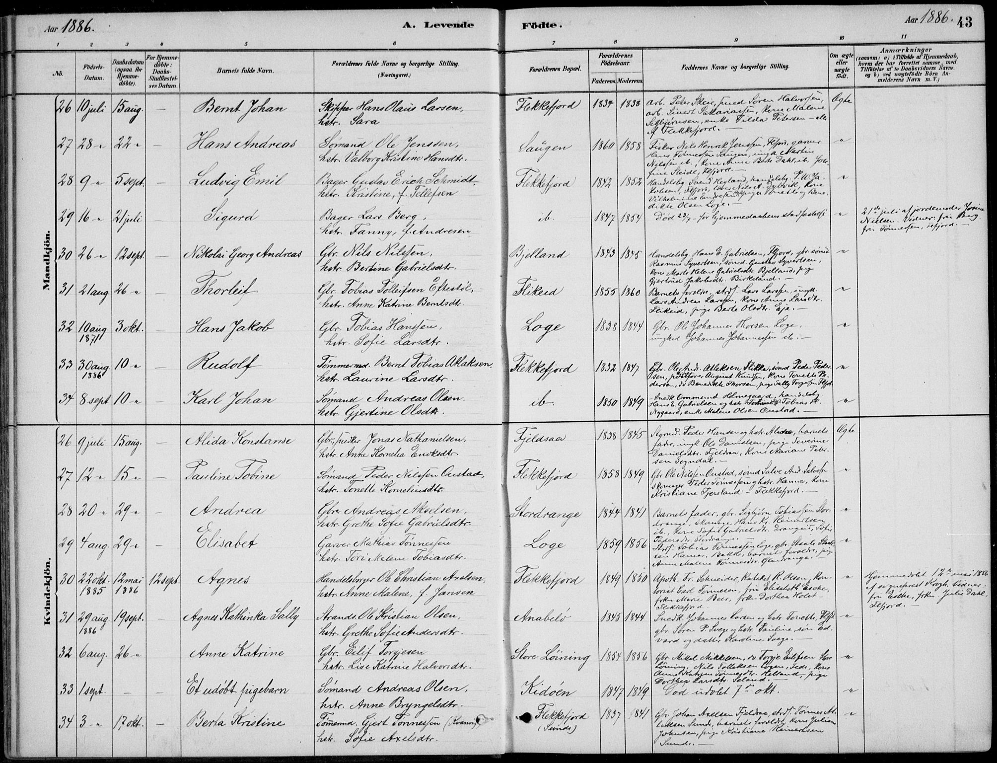 Flekkefjord sokneprestkontor, AV/SAK-1111-0012/F/Fb/Fbc/L0007: Parish register (copy) no. B 7, 1880-1902, p. 43