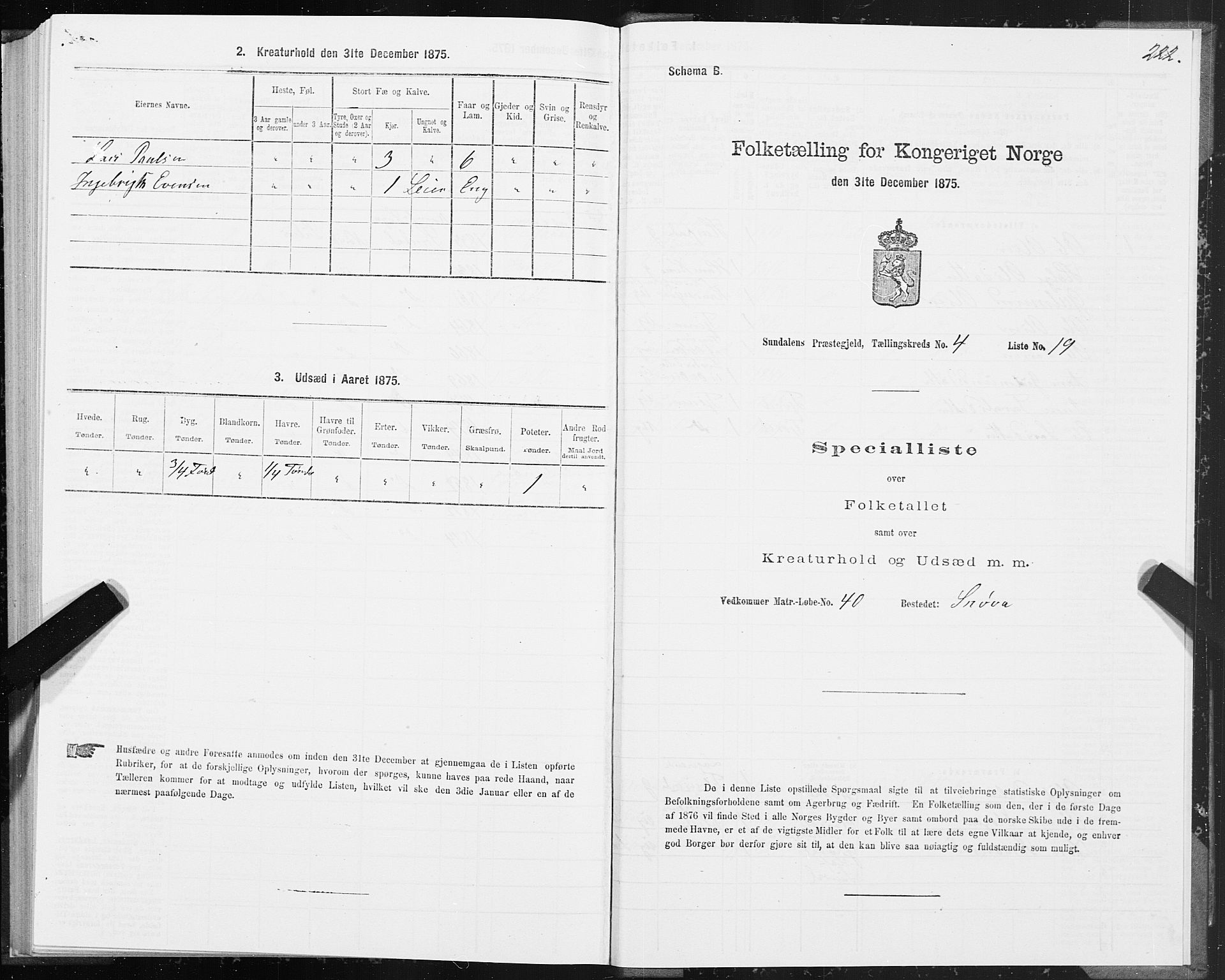 SAT, 1875 census for 1563P Sunndal, 1875, p. 1222