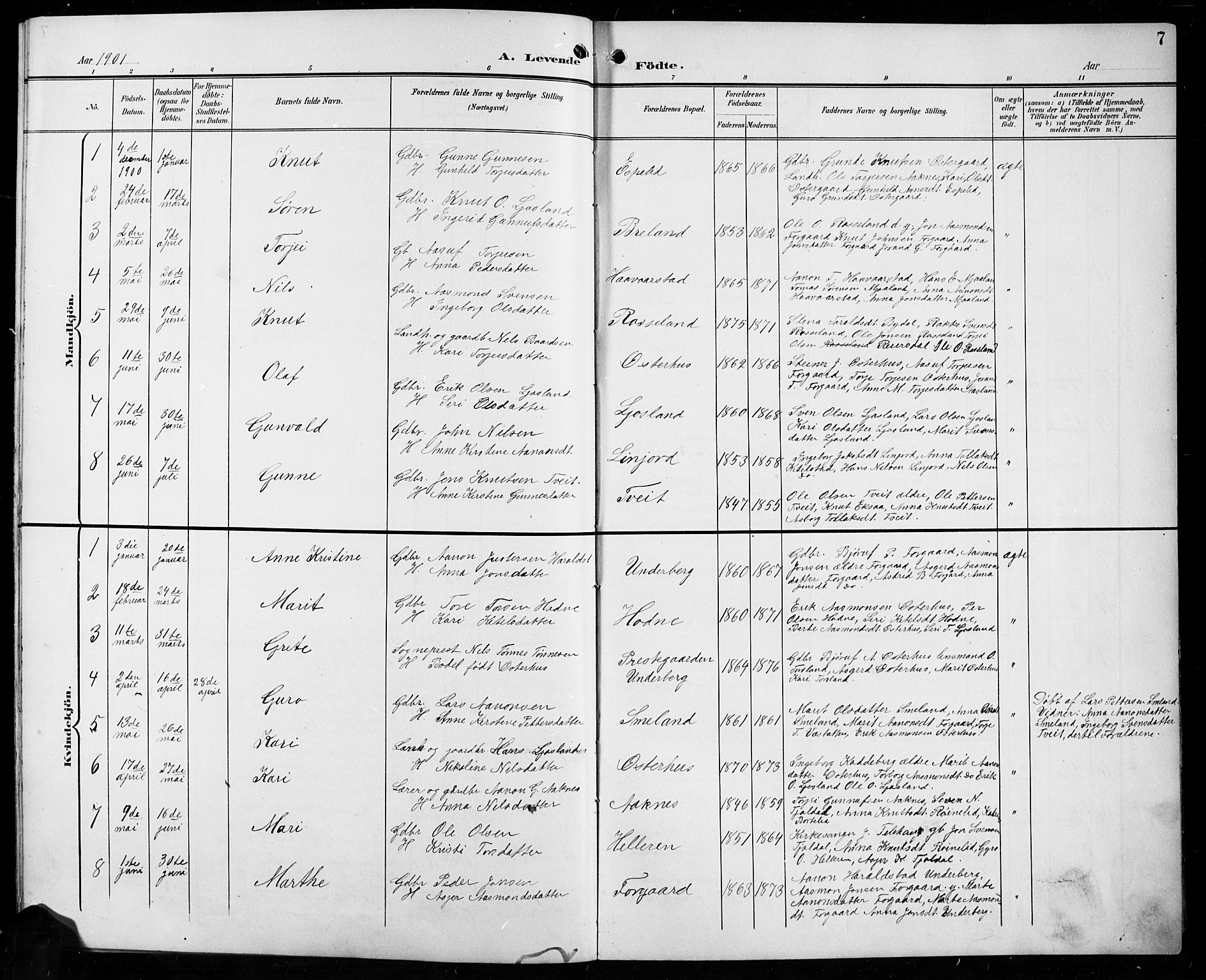 Åseral sokneprestkontor, SAK/1111-0051/F/Fb/L0003: Parish register (copy) no. B 3, 1900-1919, p. 7