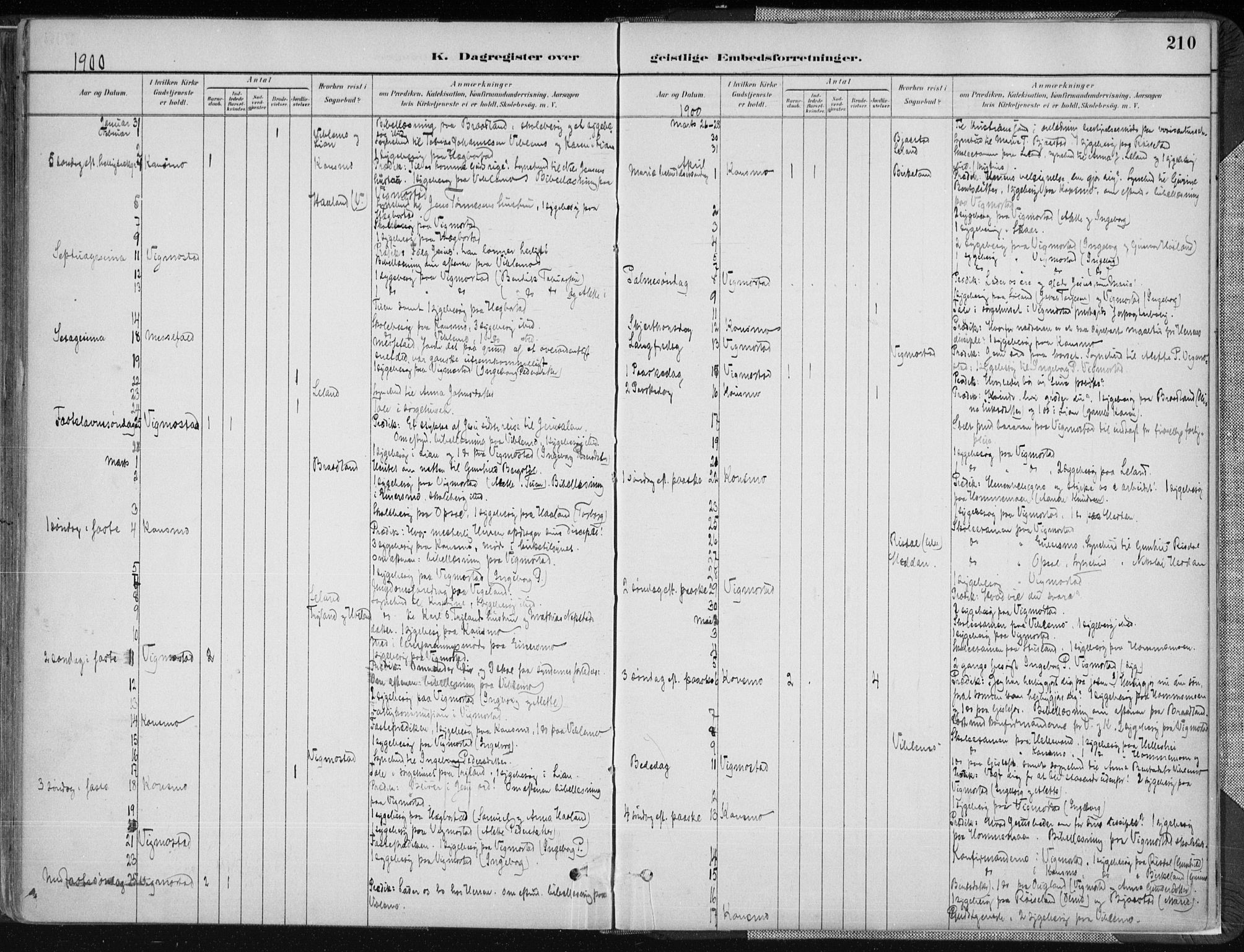 Nord-Audnedal sokneprestkontor, AV/SAK-1111-0032/F/Fa/Fab/L0003: Parish register (official) no. A 3, 1882-1900, p. 210