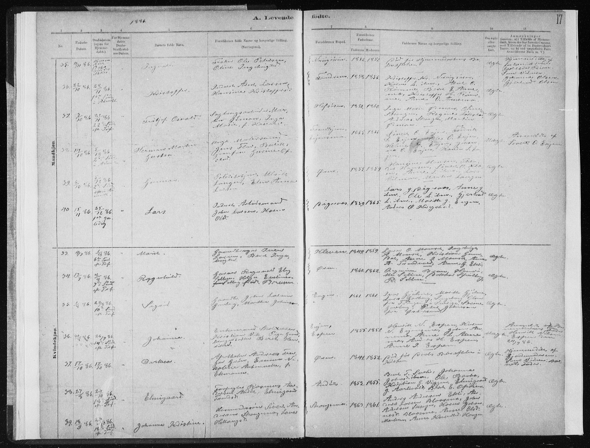 Ministerialprotokoller, klokkerbøker og fødselsregistre - Sør-Trøndelag, AV/SAT-A-1456/668/L0818: Parish register (copy) no. 668C07, 1885-1898, p. 17