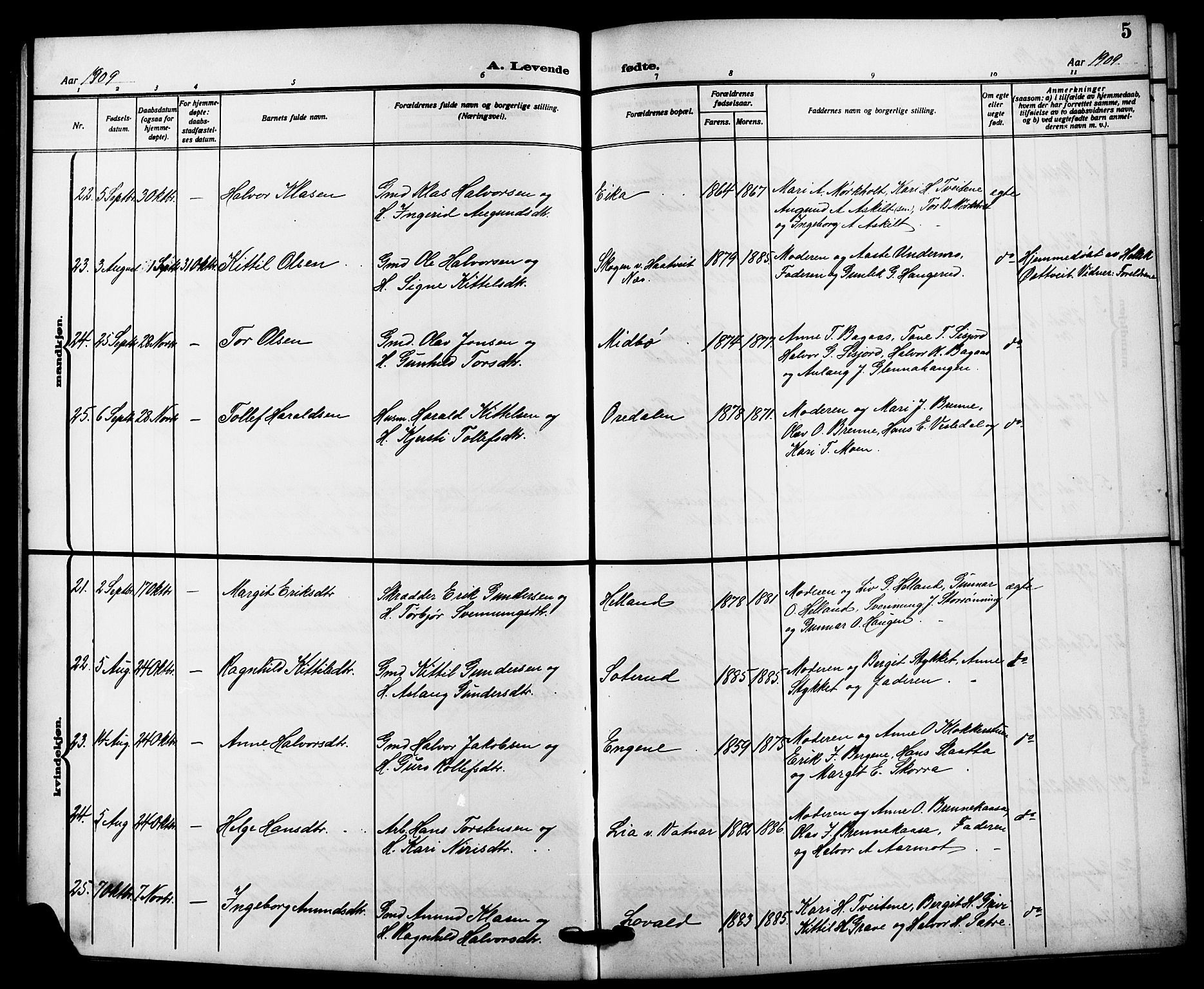 Bø kirkebøker, SAKO/A-257/G/Ga/L0007: Parish register (copy) no. 7, 1909-1924, p. 5