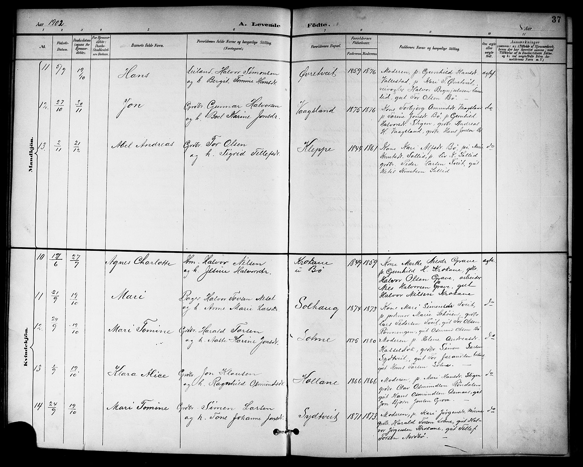 Drangedal kirkebøker, AV/SAKO-A-258/G/Gb/L0002: Parish register (copy) no. II 2, 1895-1918, p. 37