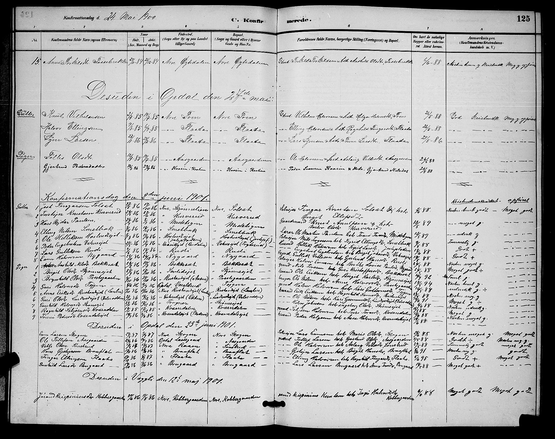 Nore kirkebøker, SAKO/A-238/G/Ga/L0003: Parish register (copy) no. I 3, 1886-1903, p. 125
