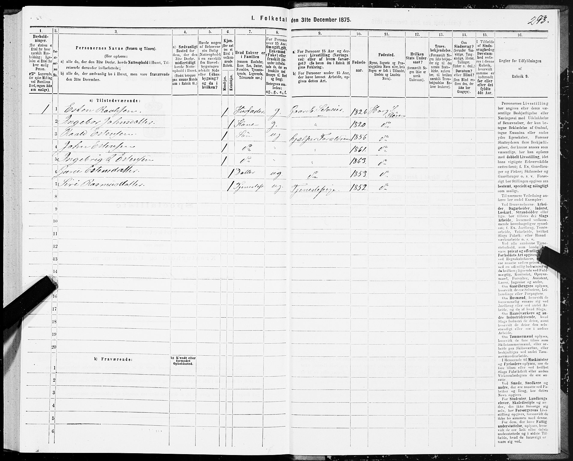 SAT, 1875 census for 1648P Støren, 1875, p. 6293