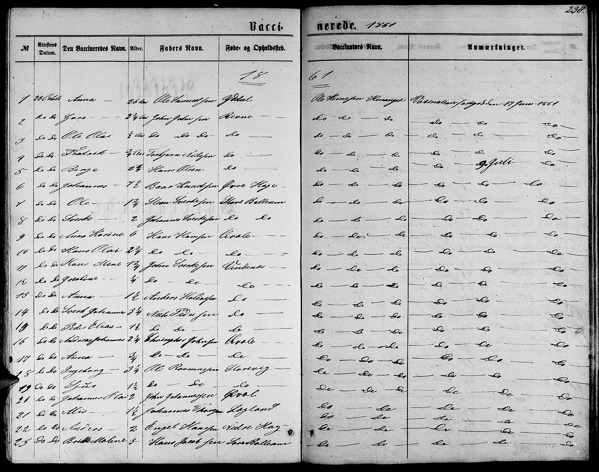 Fusa sokneprestembete, SAB/A-75401/H/Hab: Parish register (copy) no. C 1, 1861-1885, p. 238