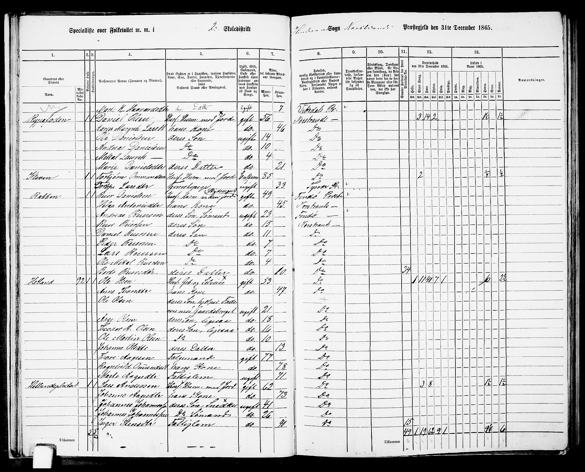 RA, 1865 census for Nedstrand, 1865, p. 29