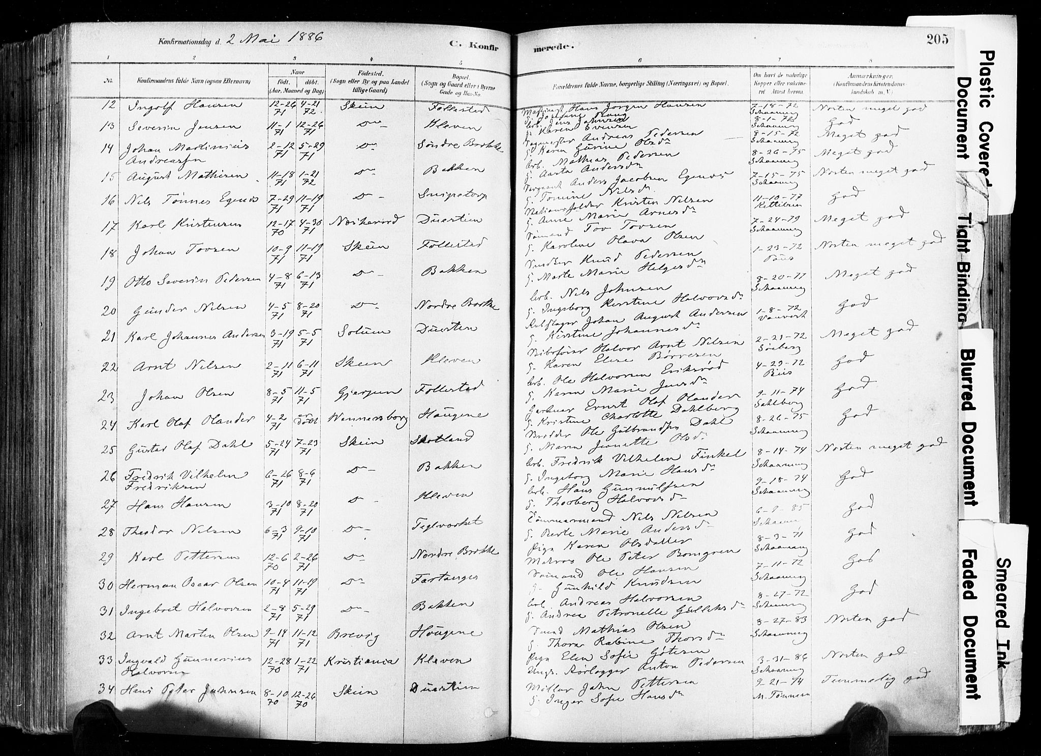 Skien kirkebøker, AV/SAKO-A-302/F/Fa/L0009: Parish register (official) no. 9, 1878-1890, p. 205