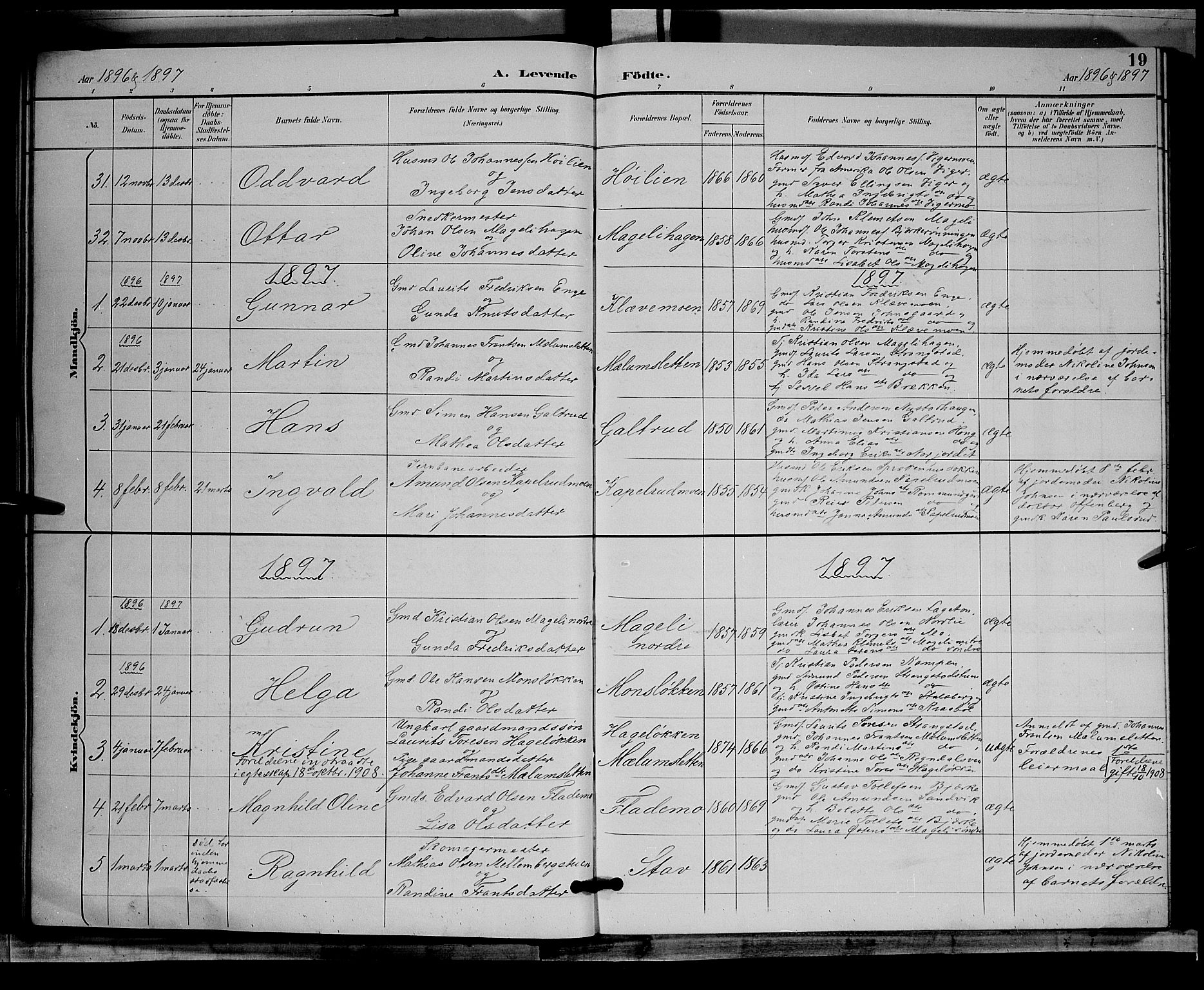 Øyer prestekontor, SAH/PREST-084/H/Ha/Hab/L0004: Parish register (copy) no. 4, 1894-1905, p. 19